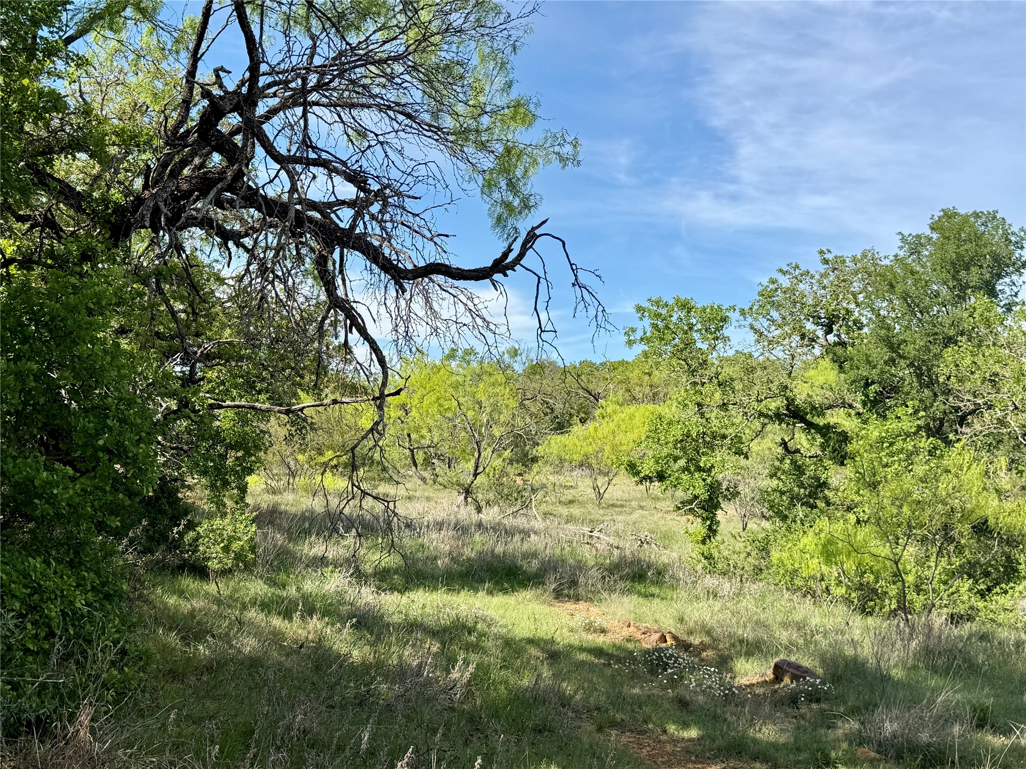 8501 Fm 1850 Brownwood TX 76801
