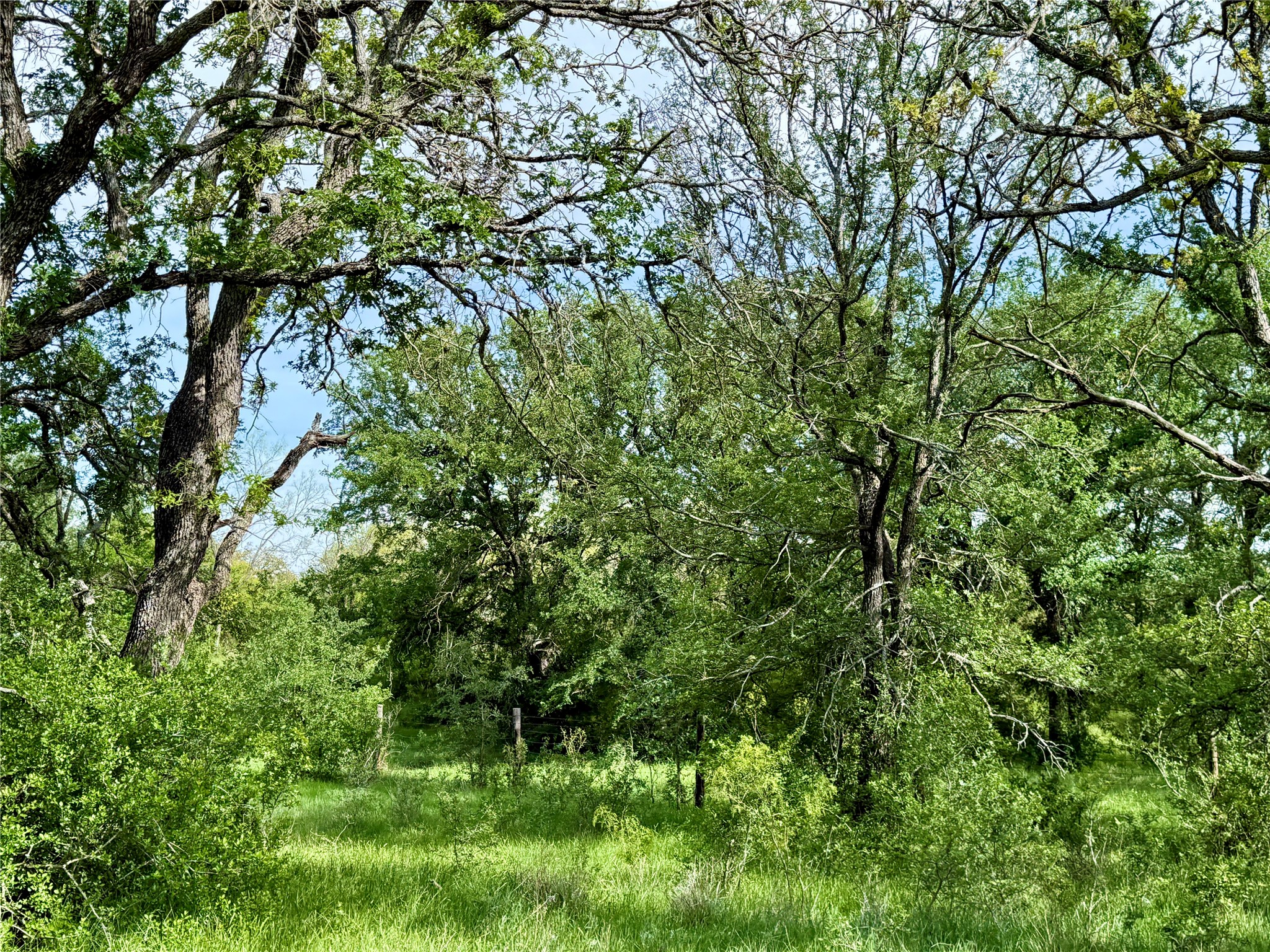 8501 Fm 1850 Brownwood TX 76801