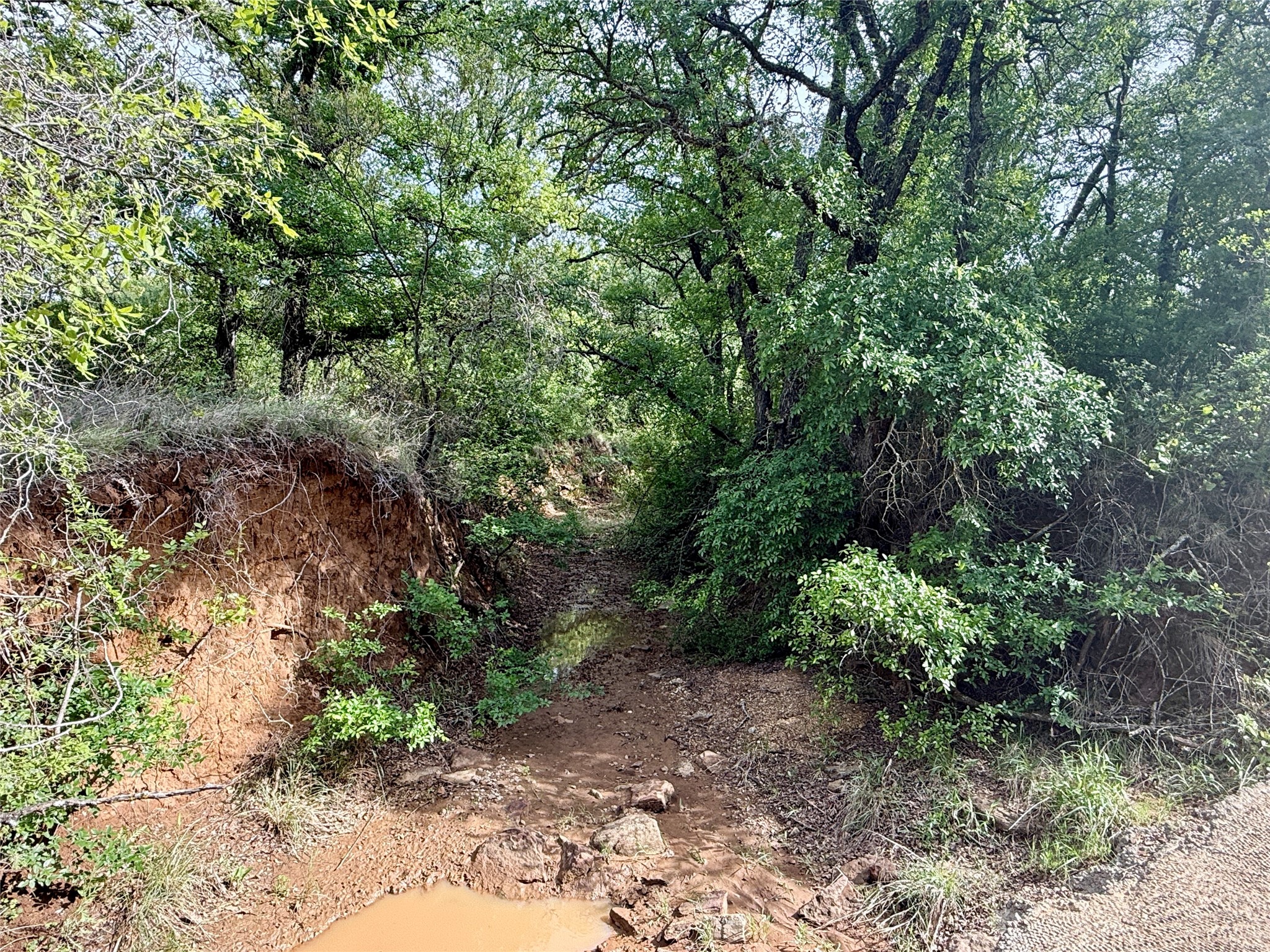 8501 Fm 1850 Brownwood TX 76801