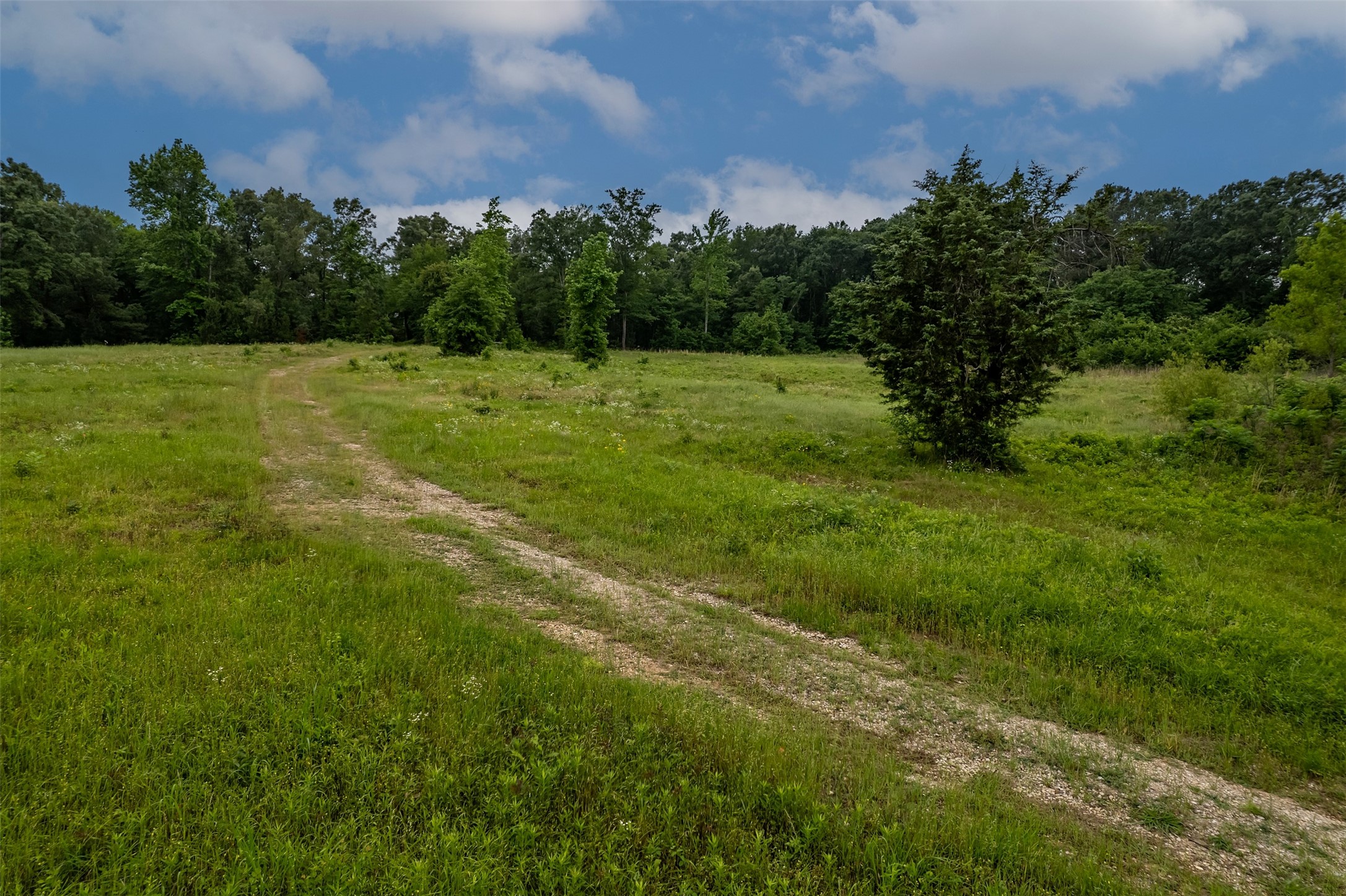 23050 County Road 244 Overton TX 75684