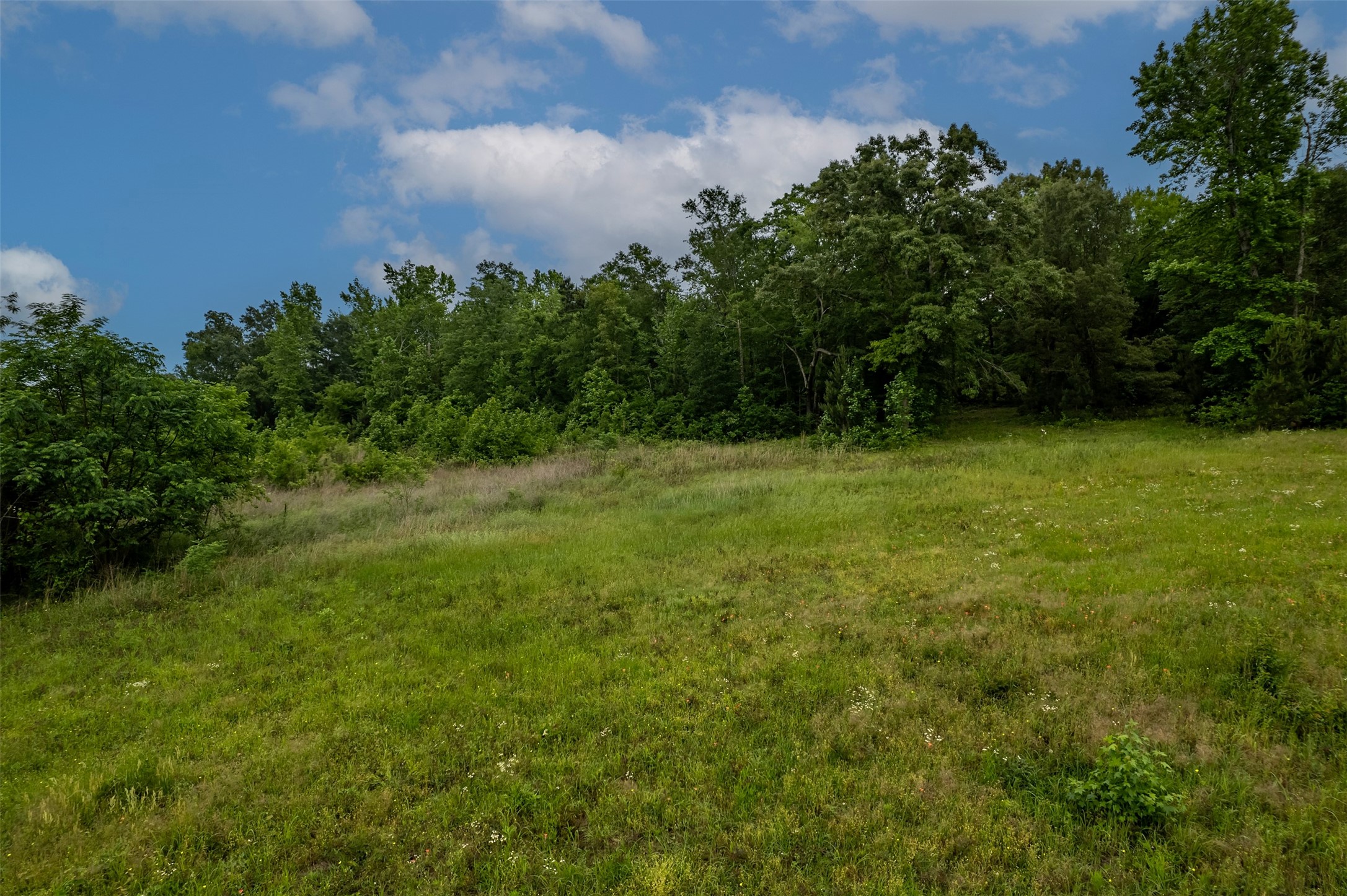 23050 County Road 244 Overton TX 75684