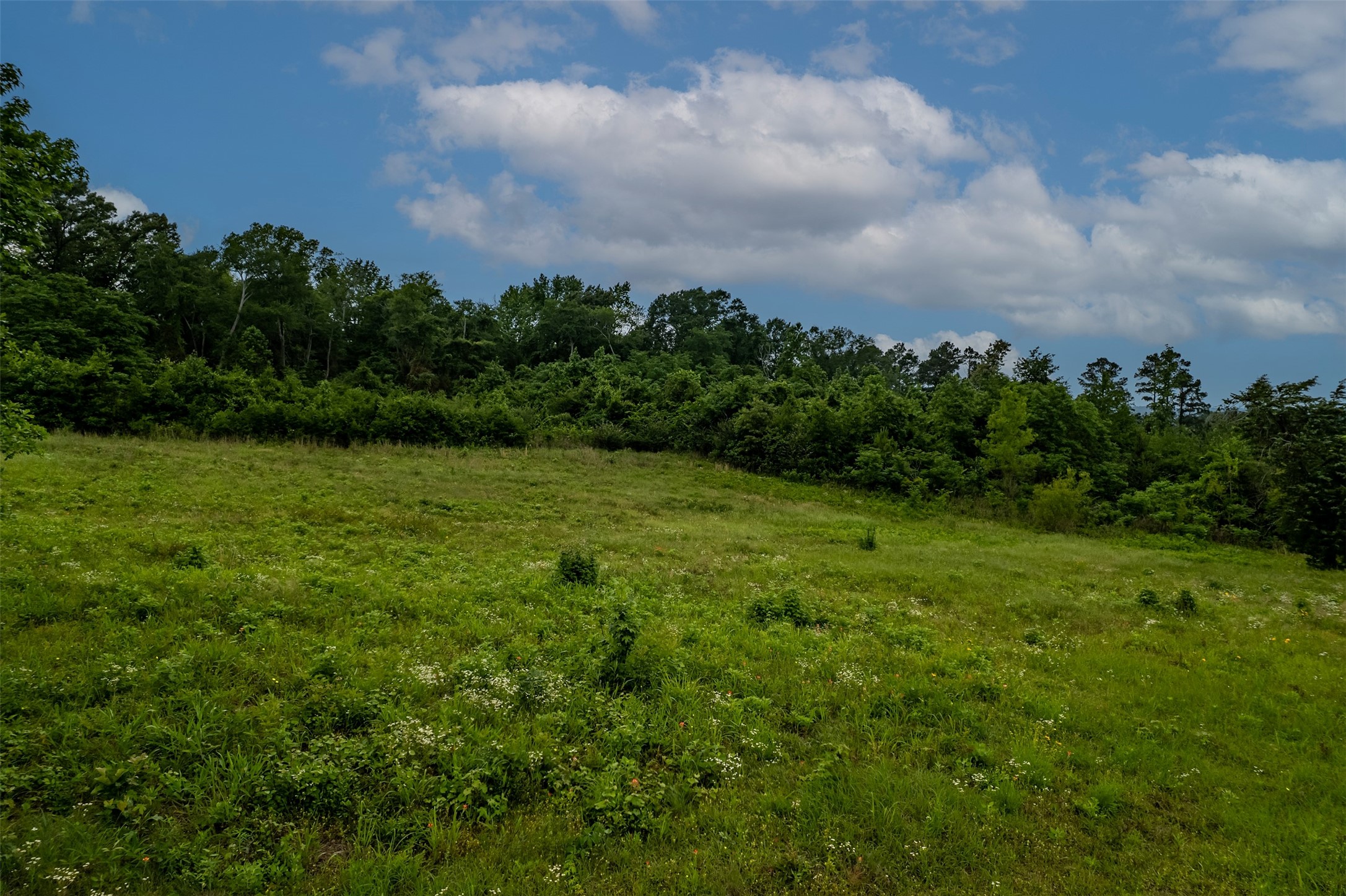 23050 County Road 244 Overton TX 75684
