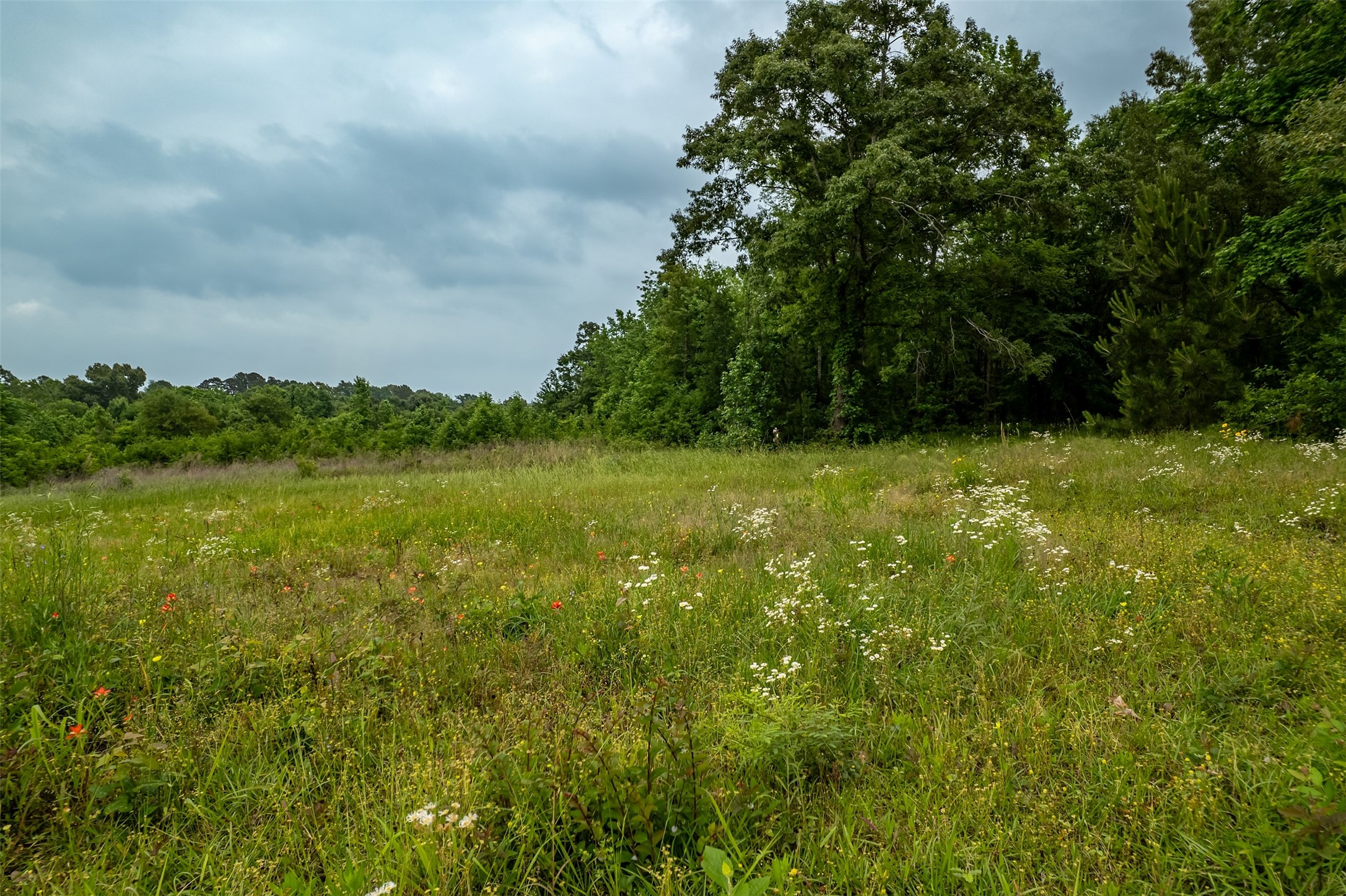 23050 County Road 244 Overton TX 75684
