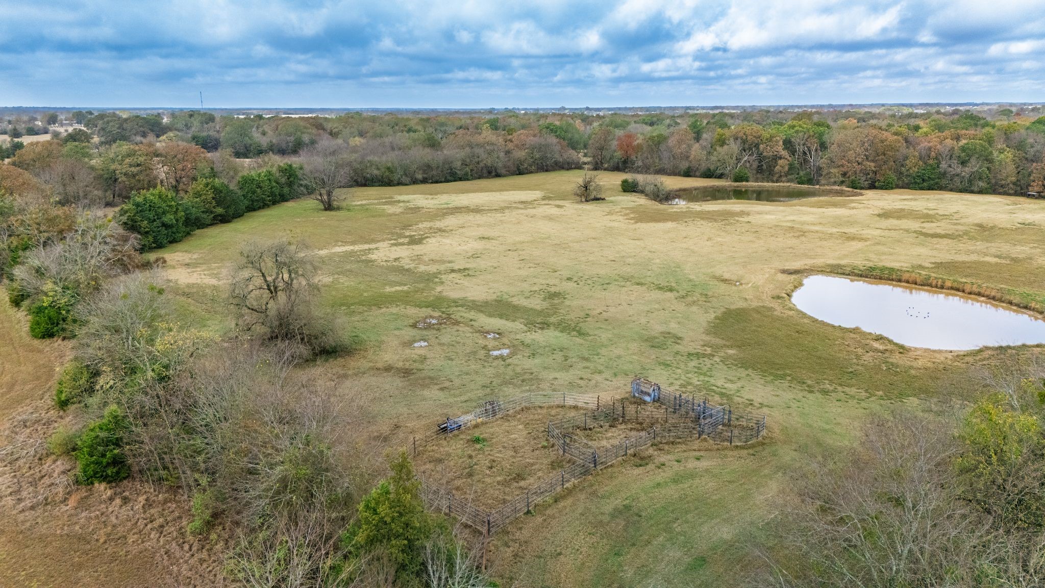 Tbd Fm 154 Cooper TX 75432