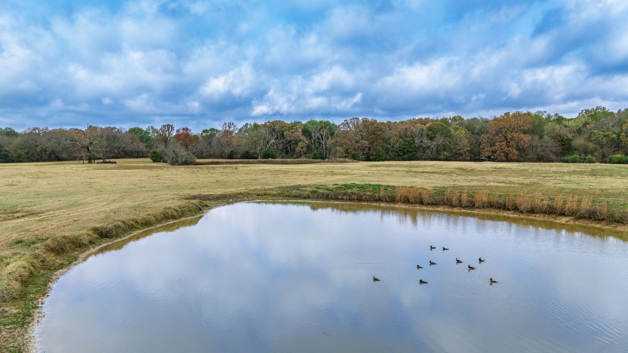 Tbd Fm 154 Cooper TX 75432