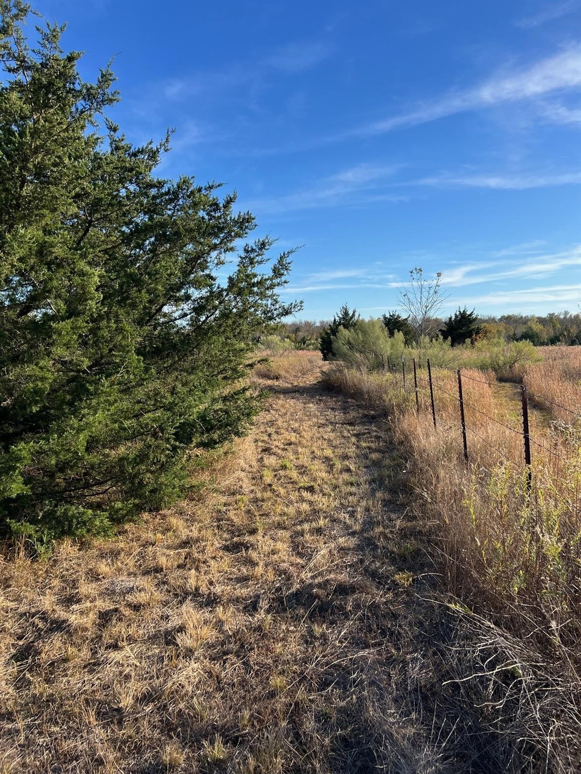2585 Cr 2130 Cooper TX 75432