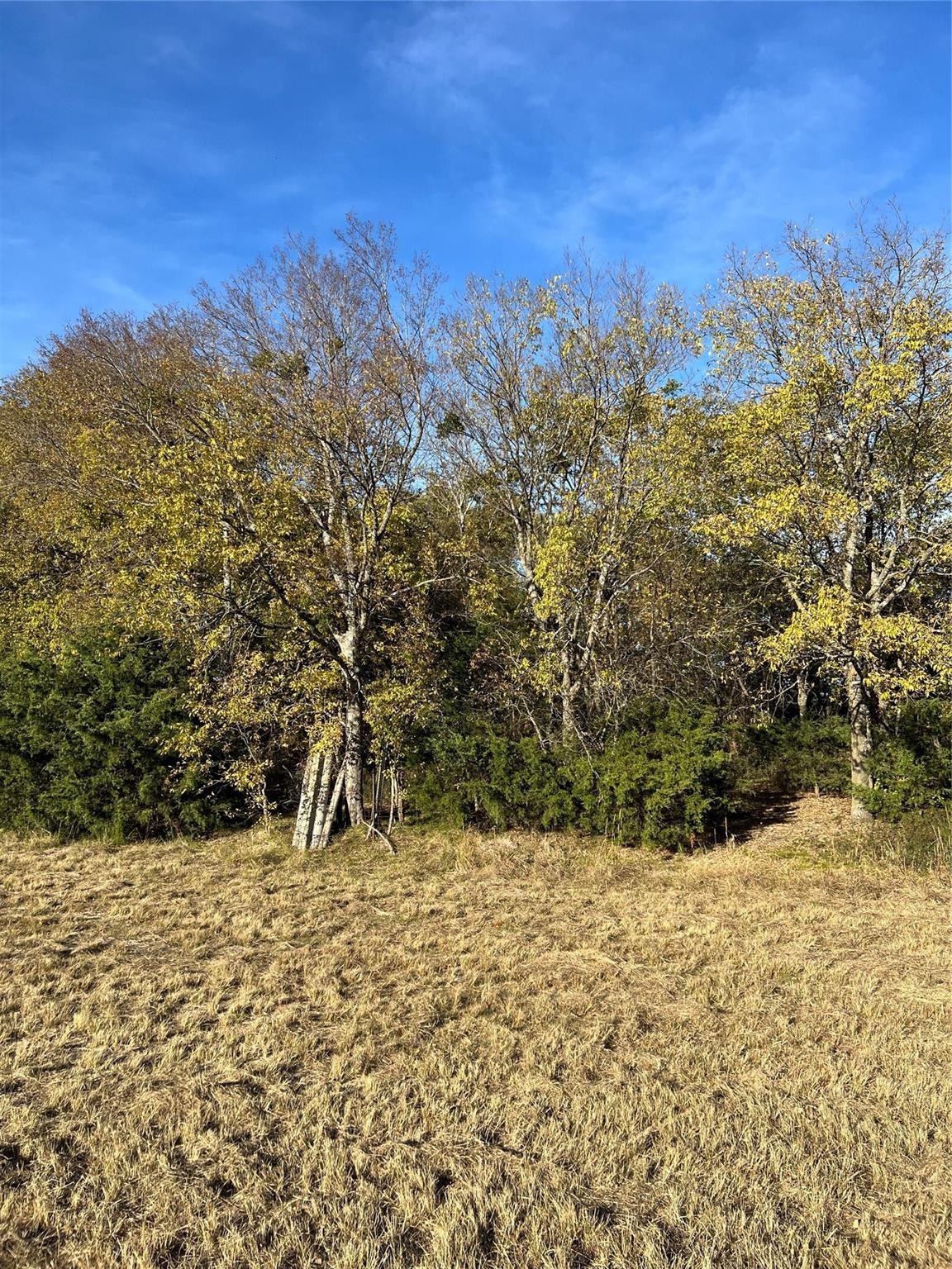 2585 Cr 2130 Cooper TX 75432
