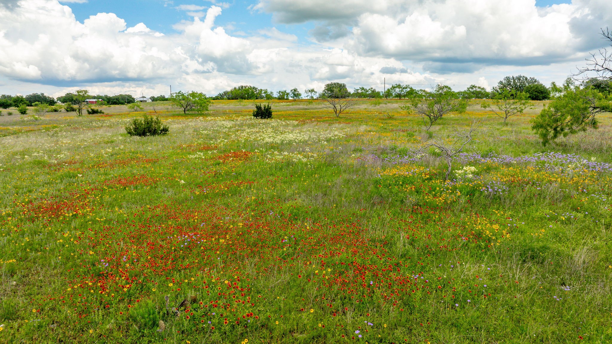 Tbd County Road 277 Dublin TX 76446