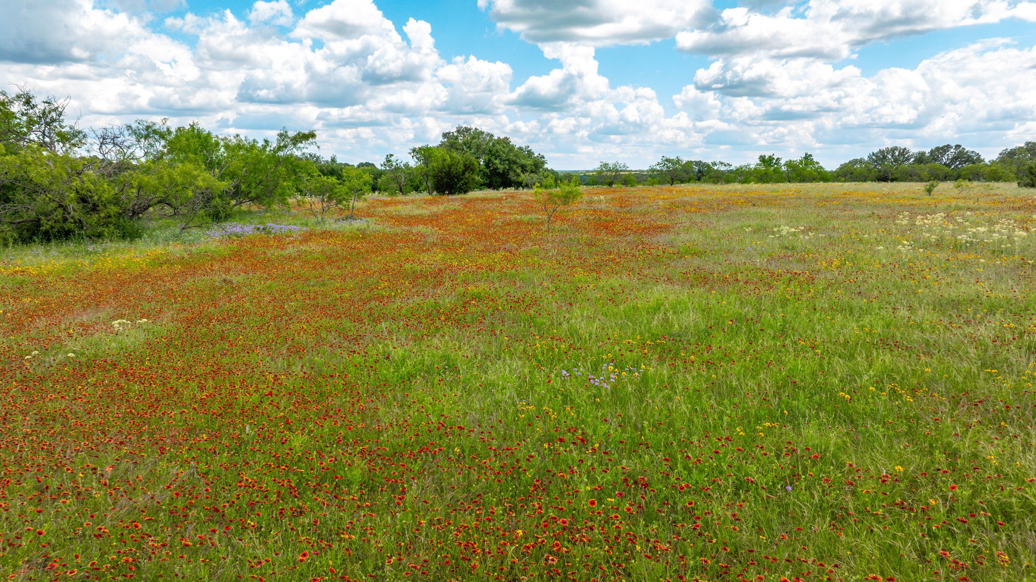 Tbd County Road 277 Dublin TX 76446