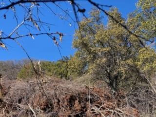 0 Cr 1176 Santa Anna TX 76878