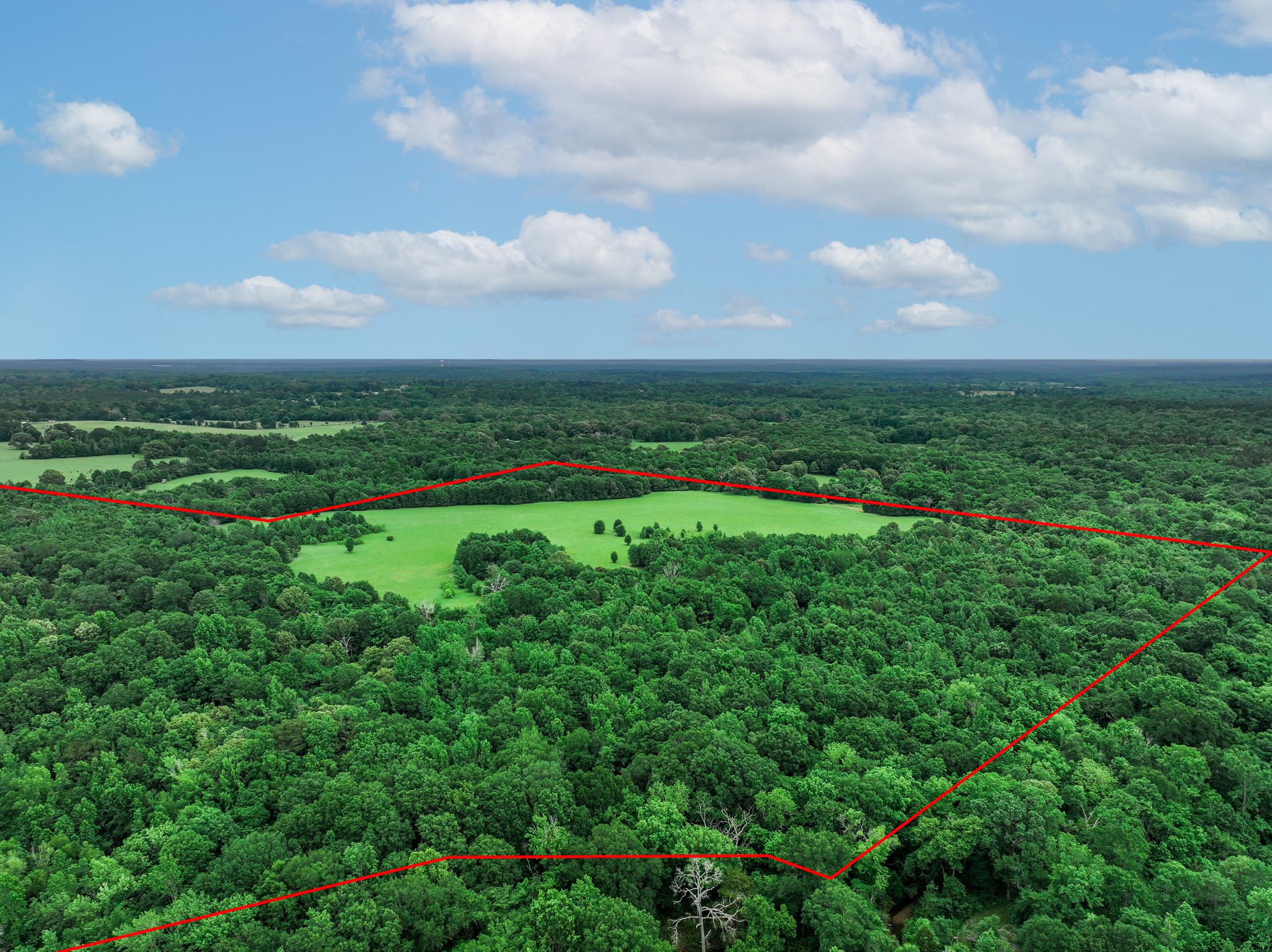 3732 Us Highway 84 Palestine TX 75801