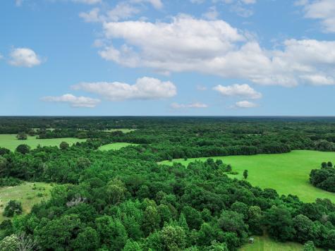 3732 Us Highway 84 Palestine TX 75801