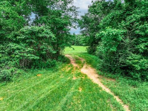 3732 Us Highway 84 Palestine TX 75801