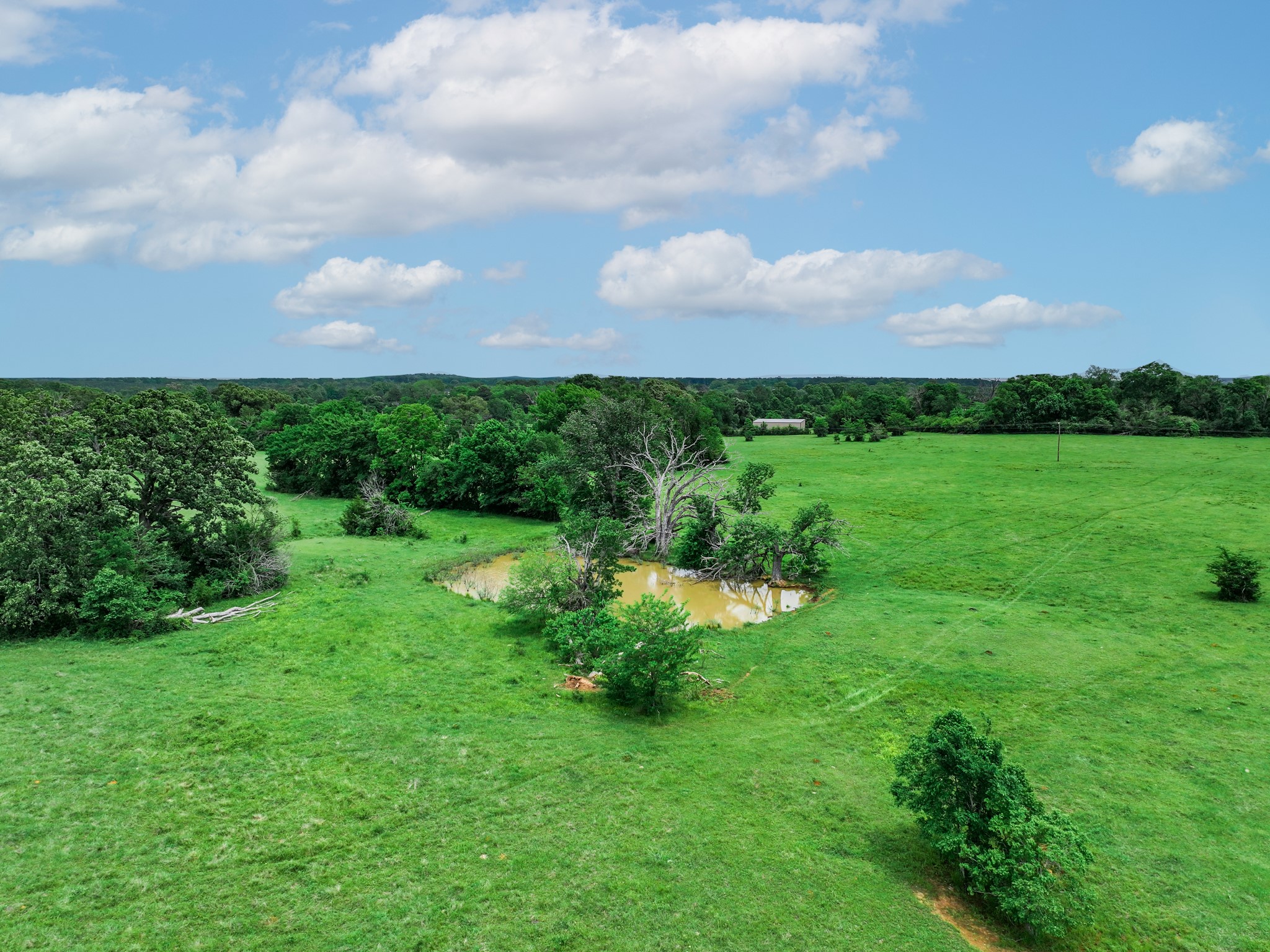 3732 Us Highway 84 Palestine TX 75801