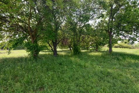 Tbd Contrary Creek Road Granbury TX 76048