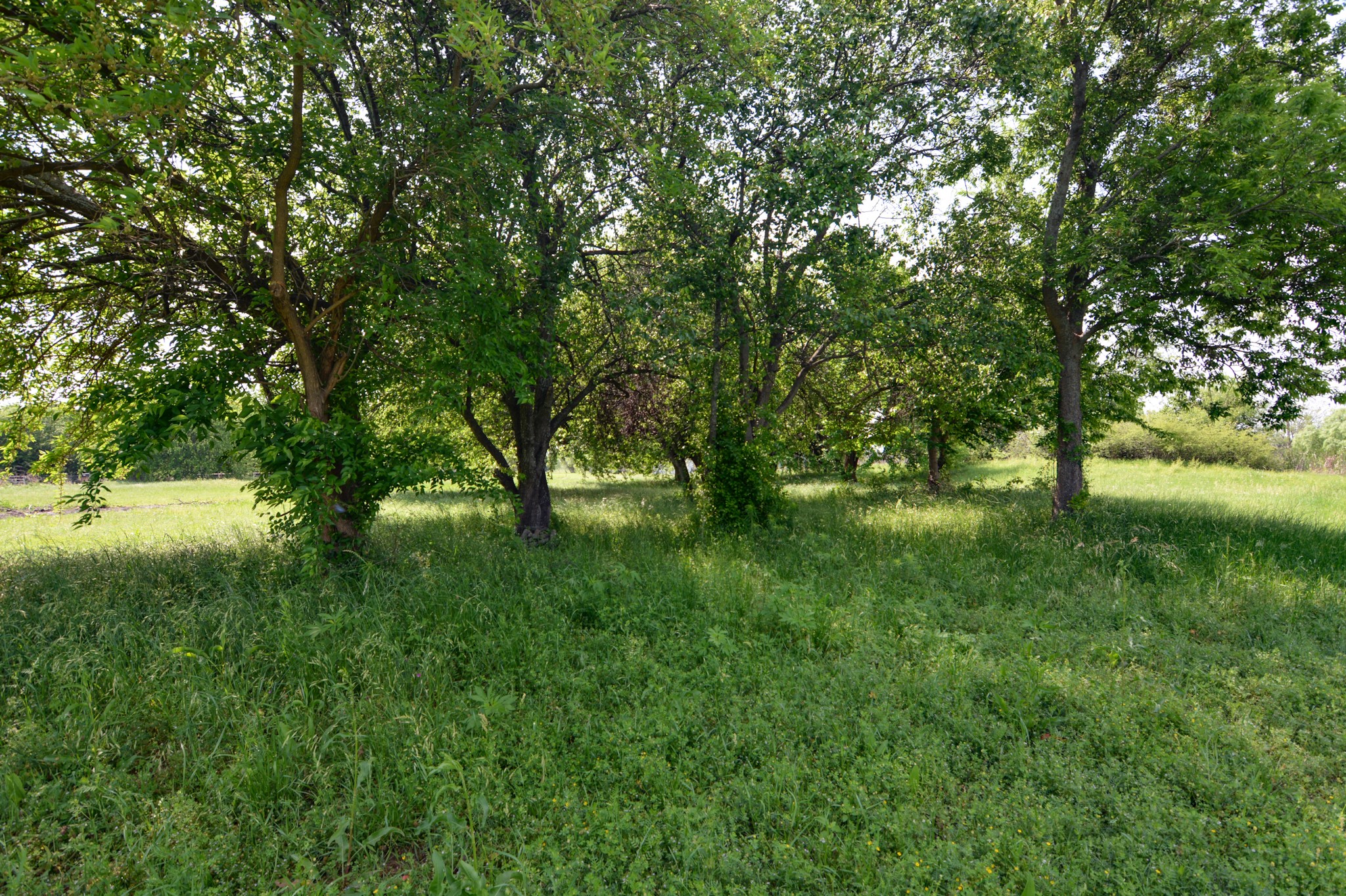 Tbd Contrary Creek Road Granbury TX 76048
