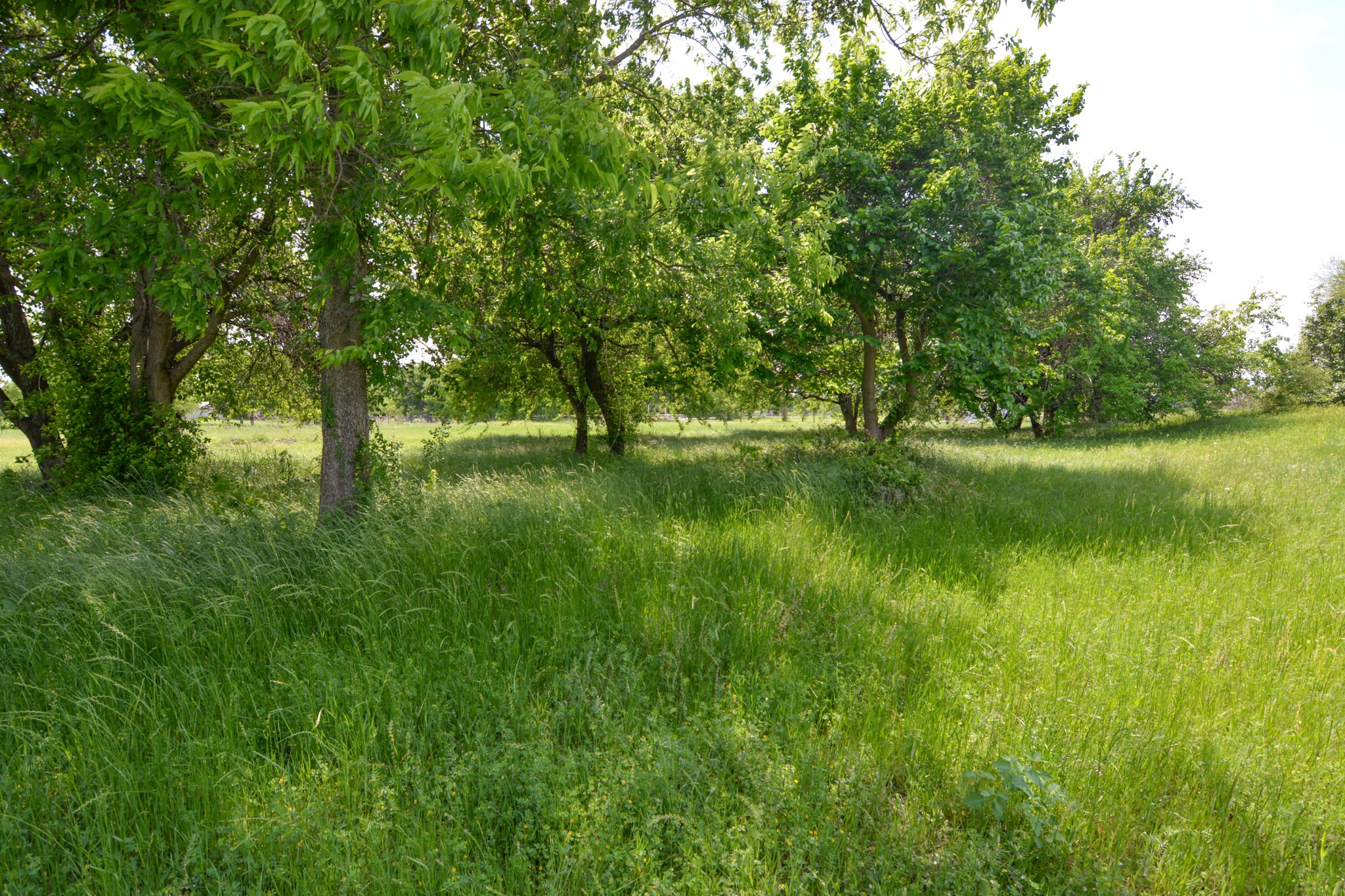 Tbd Contrary Creek Road Granbury TX 76048