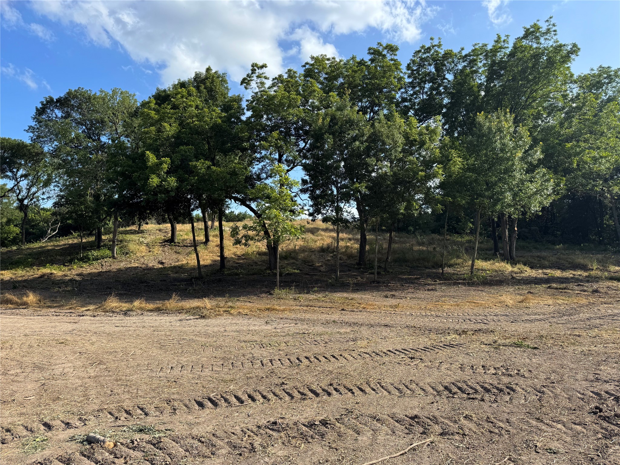 Lot 17 Westmoreland Road Red Oak TX 75154