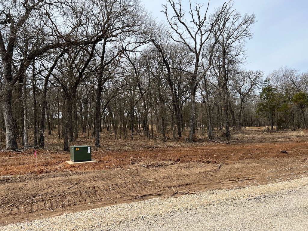 612 Roy Coffee Court Weatherford TX 76087
