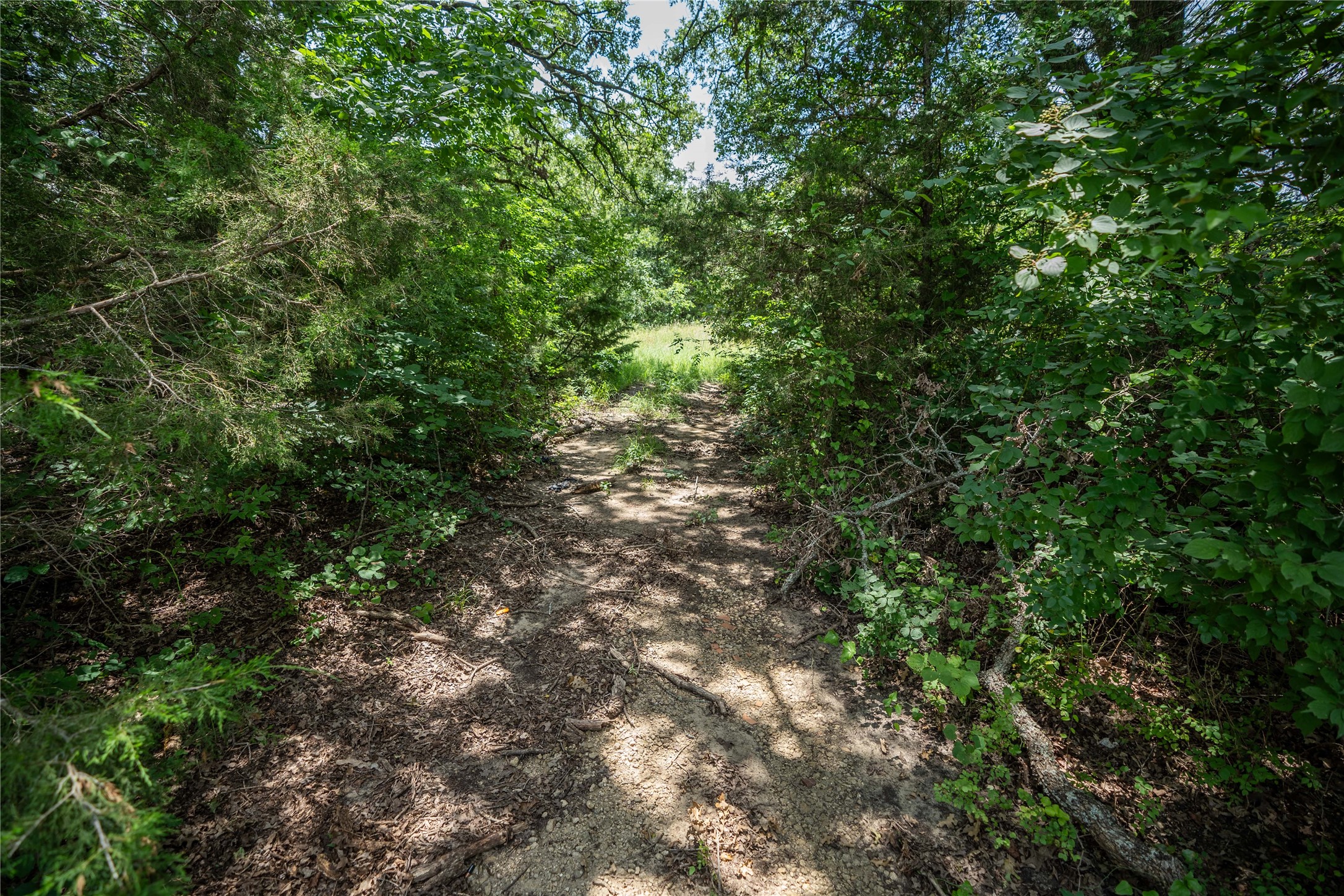 Tbd Cr-129 Terrell TX 75161