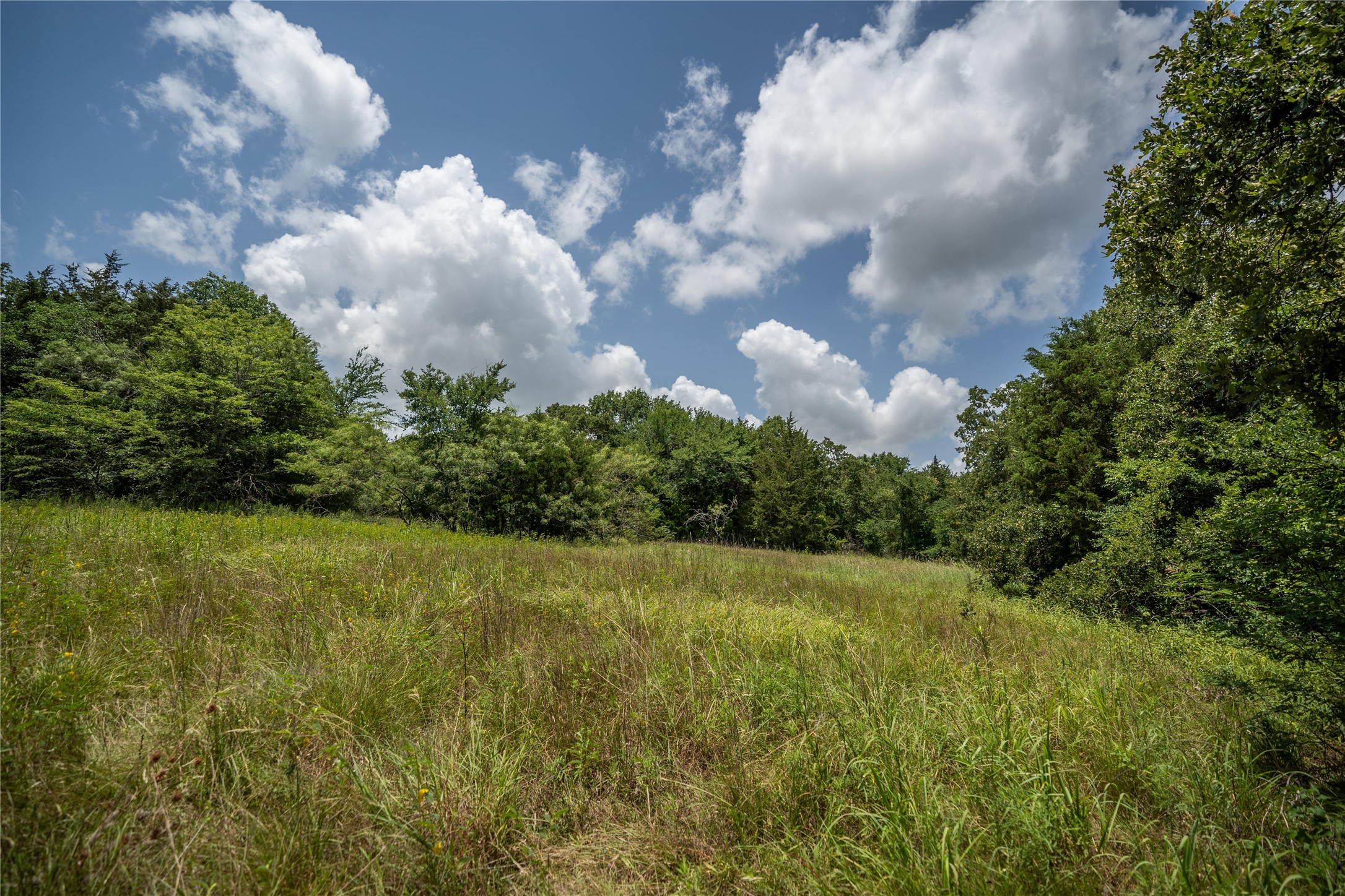 Tbd Cr-129 Terrell TX 75161