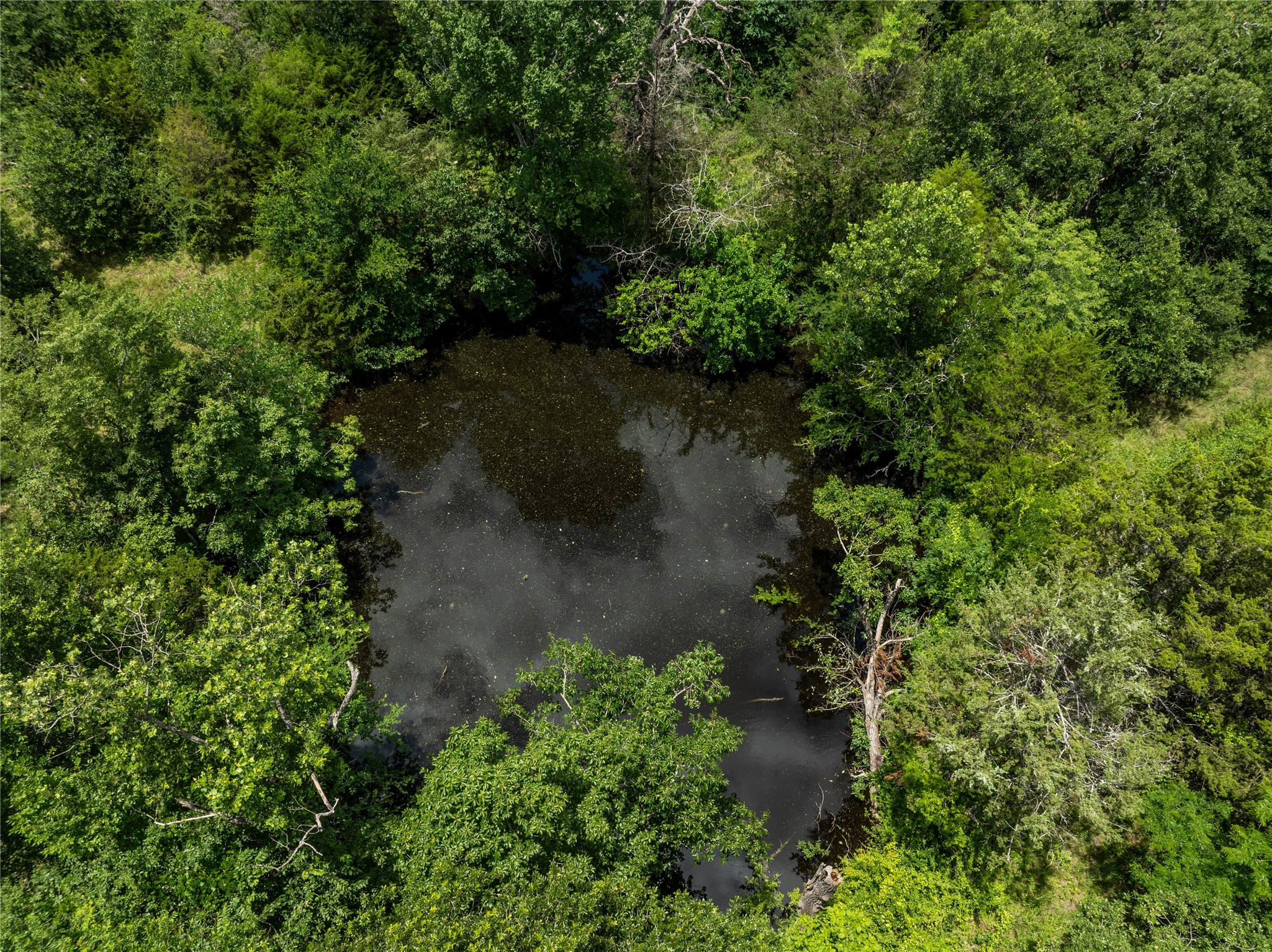 Tbd Cr-129 Terrell TX 75161