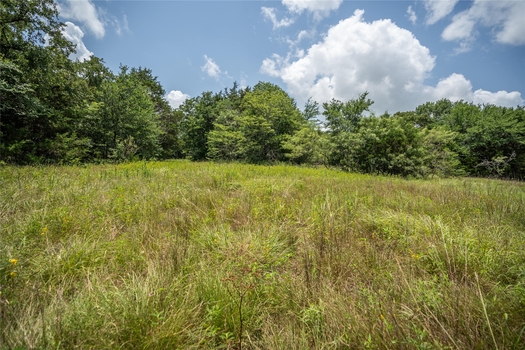 Tbd Cr-129 Terrell TX 75161