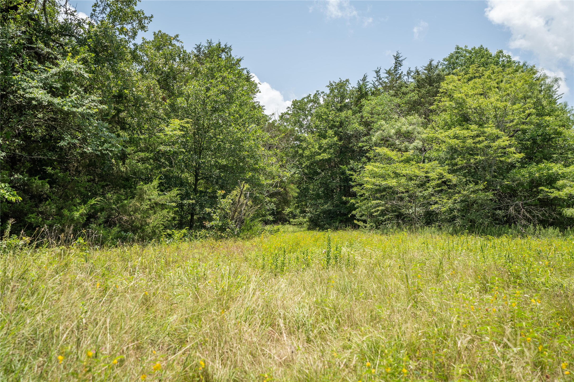 Tbd Cr-129 Terrell TX 75161