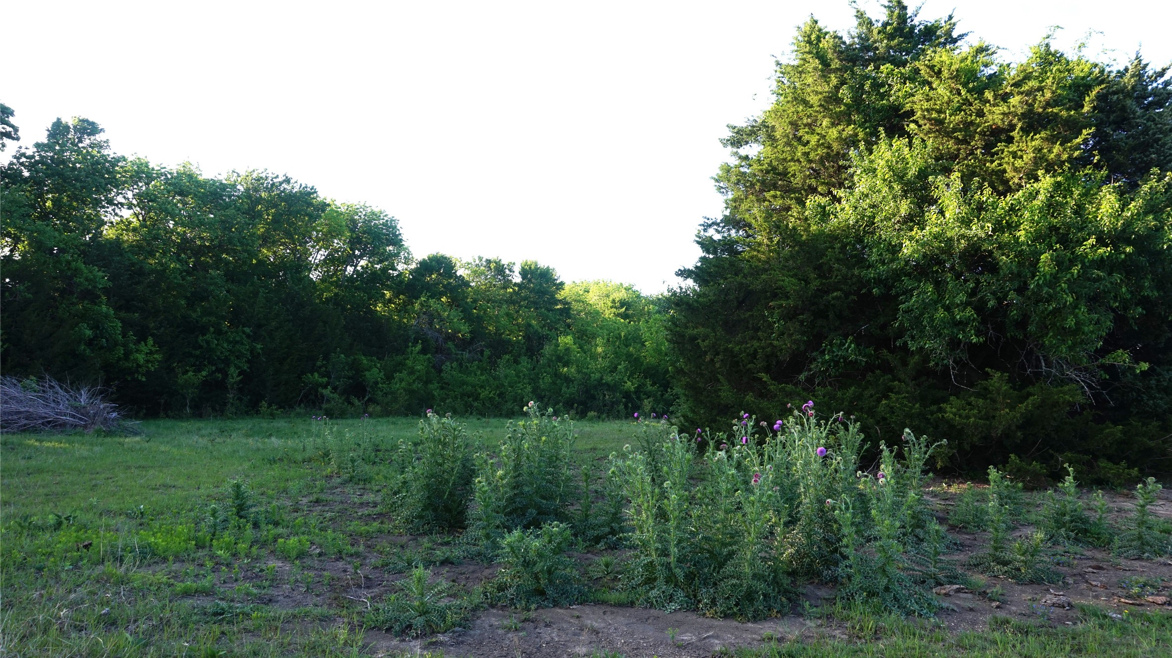 Tbd Lot 2 Adams Road Sherman TX 75090