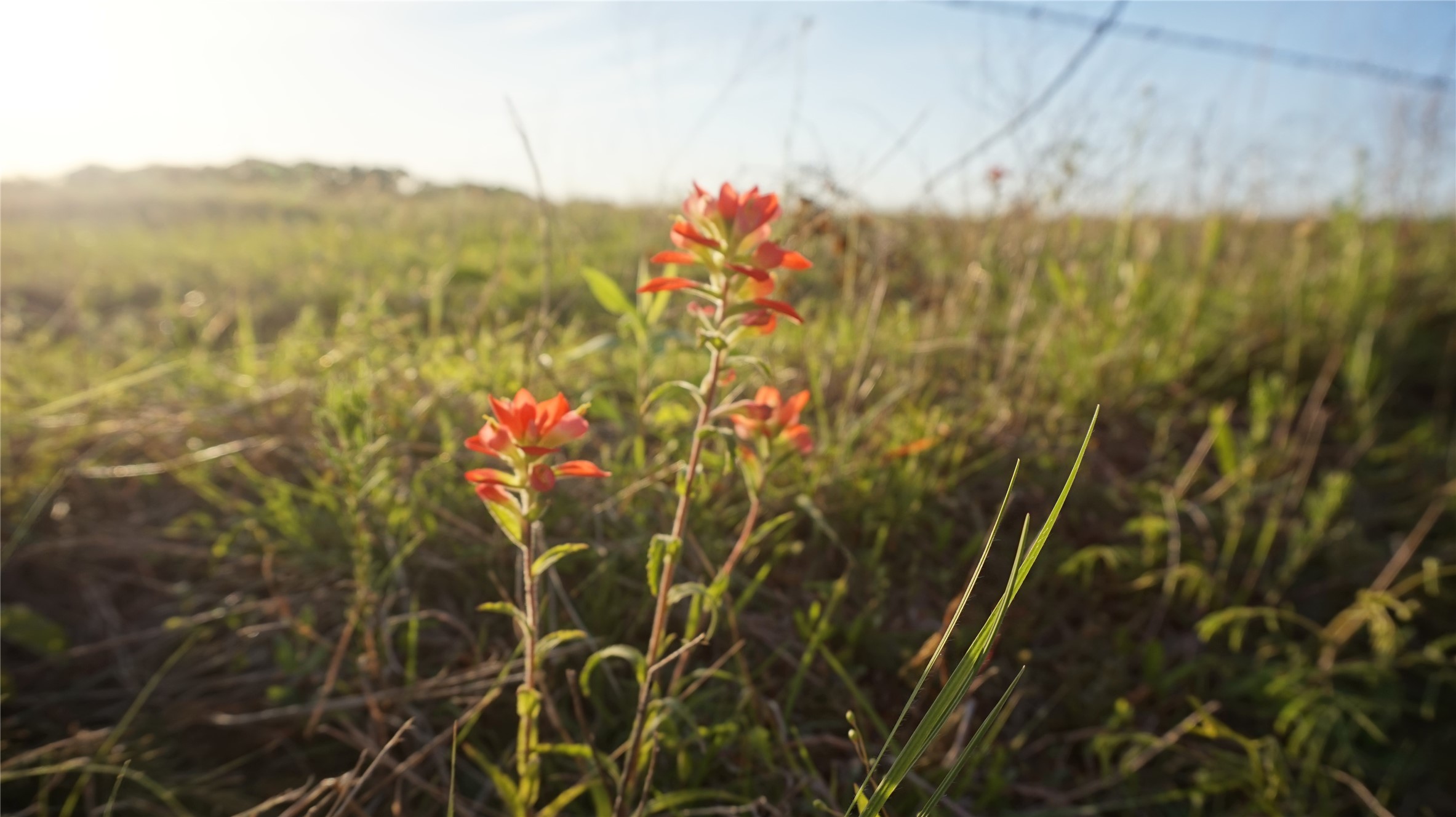 Tbd Lot 2 Adams Road Sherman TX 75090