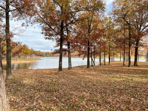 Lot 6 Eagles Nest Circle Mount Vernon TX 75457