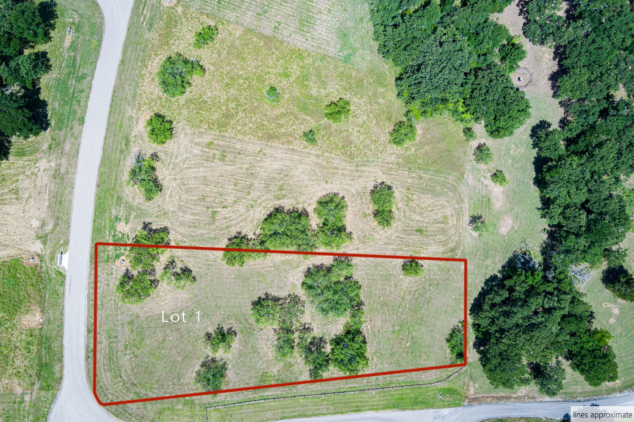 Lot 1 Admiral Shores Drive Streetman TX 75859