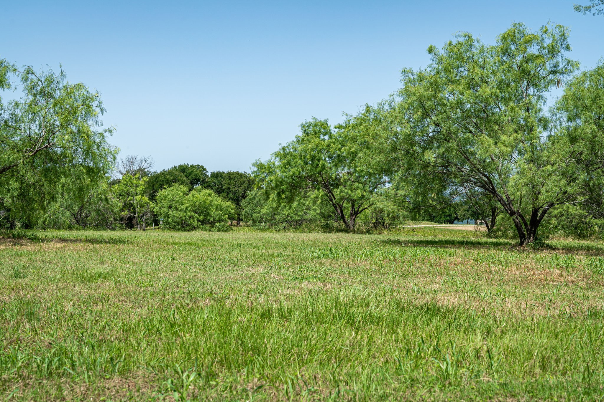 Lot 1 Admiral Shores Drive Streetman TX 75859