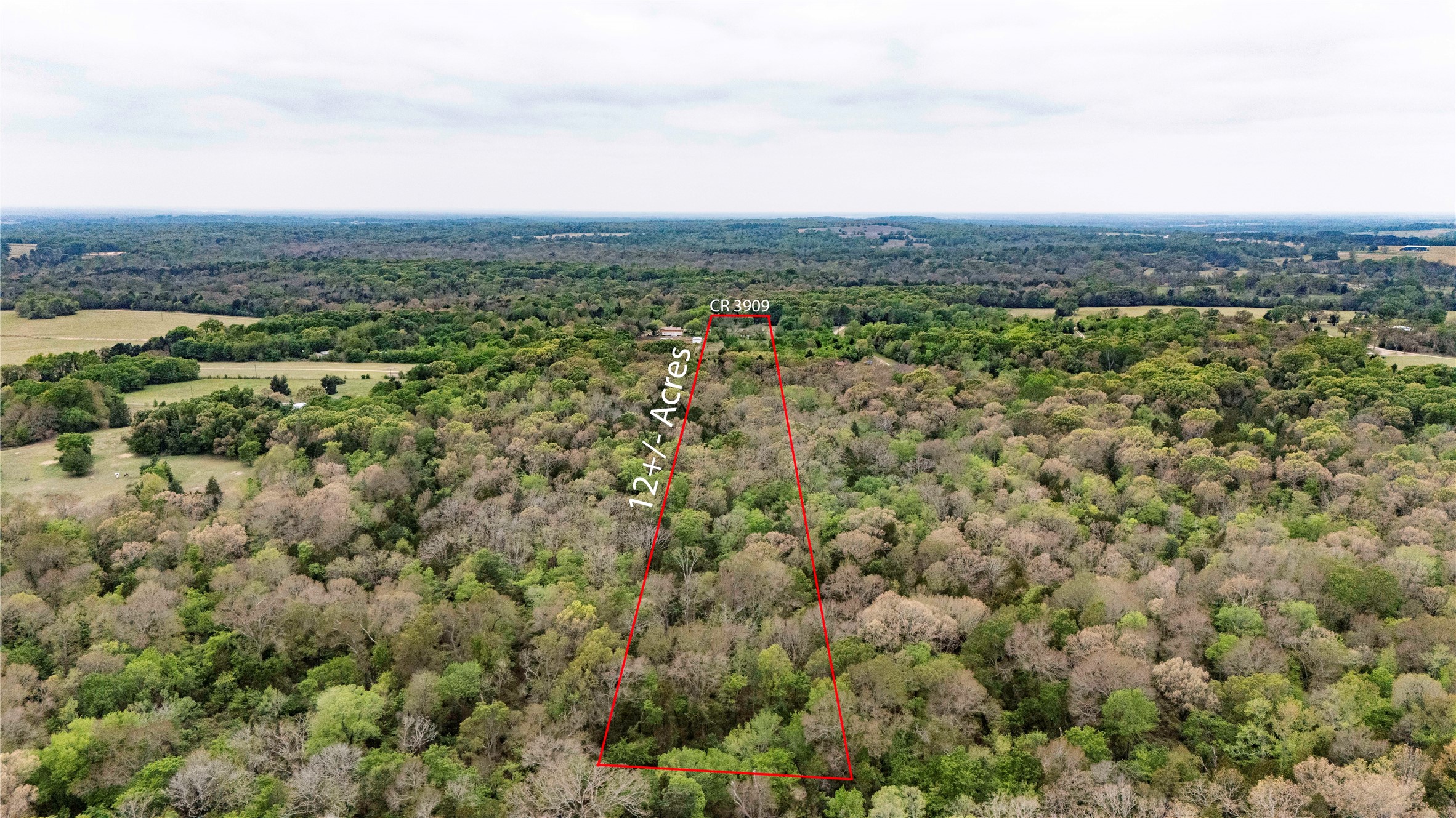 9722 County Road 3909 Athens TX 75752