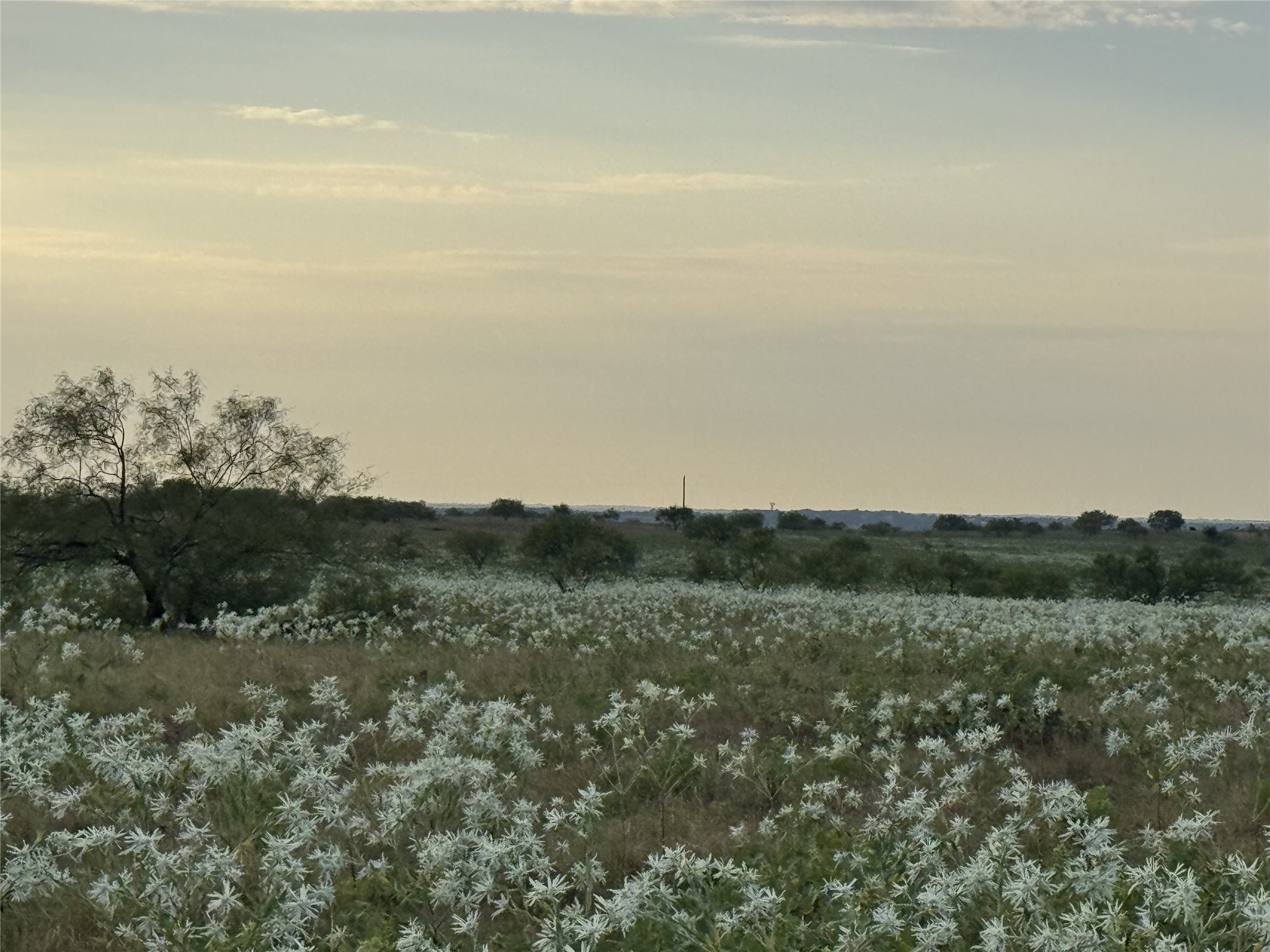 173 Private Road 4512 Decatur TX 76234