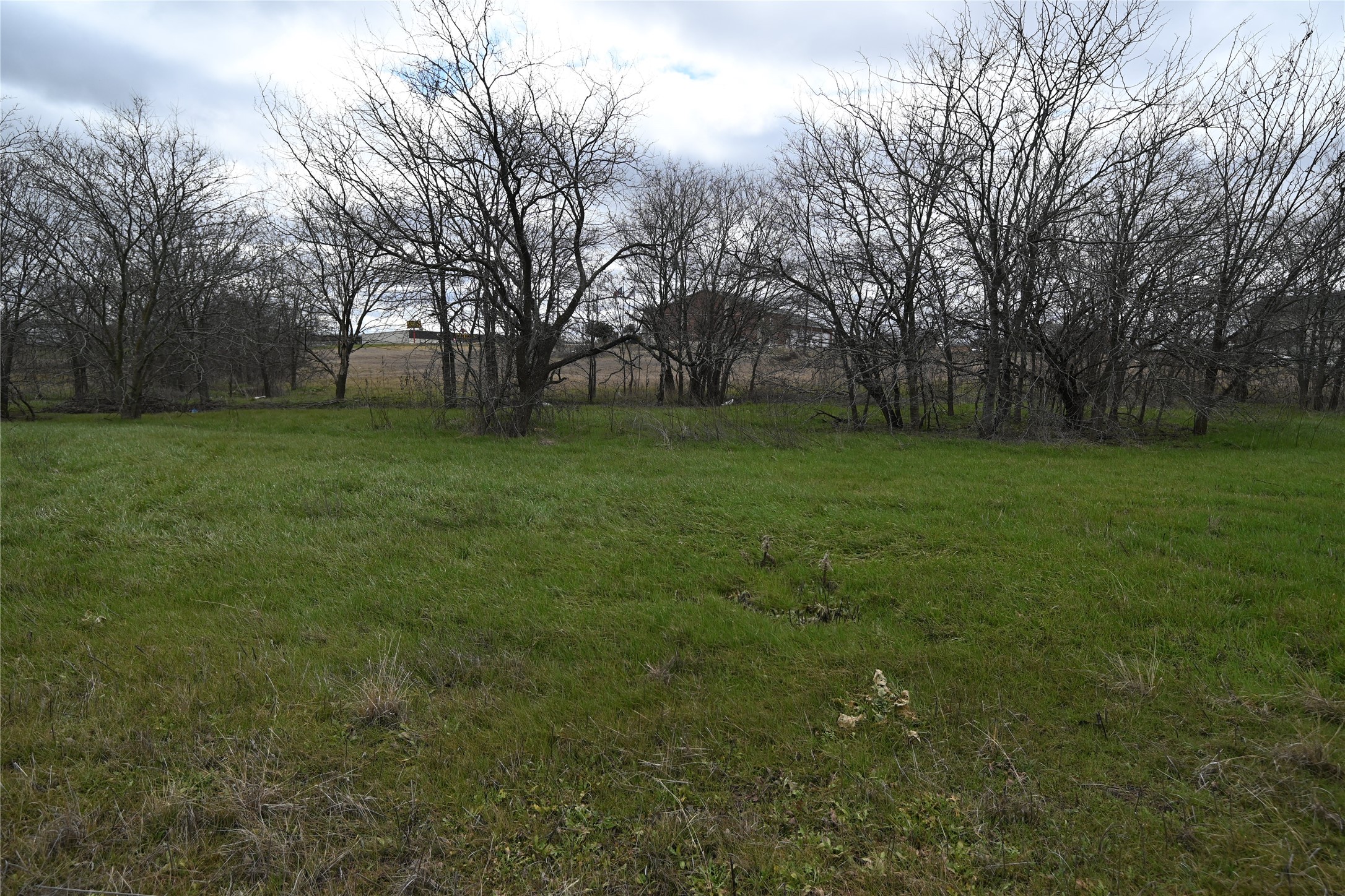 109 Hillridge Lane Maypearl TX 76064