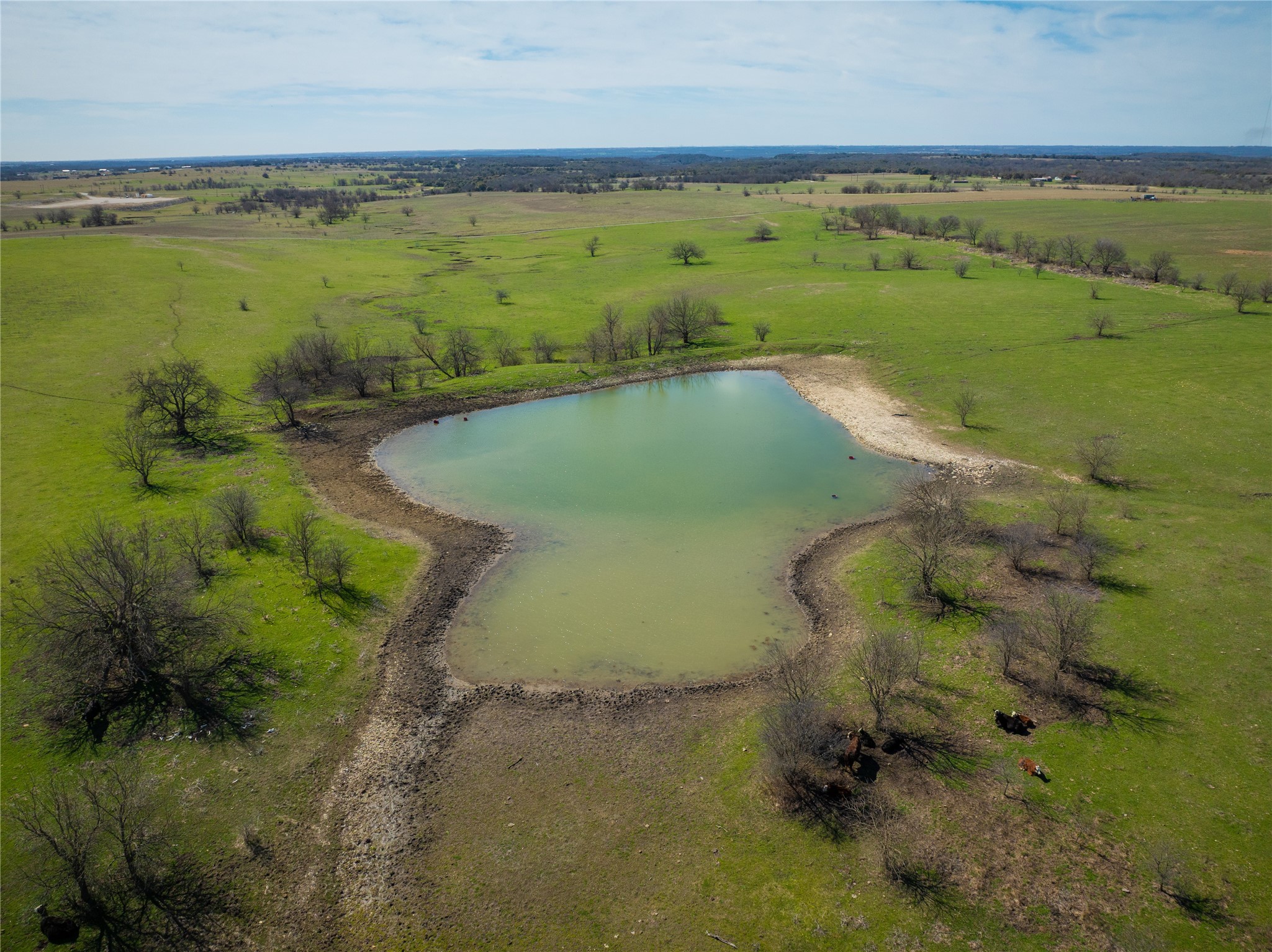 212.17 Acres Calhoun Drive Forestburg TX 76239