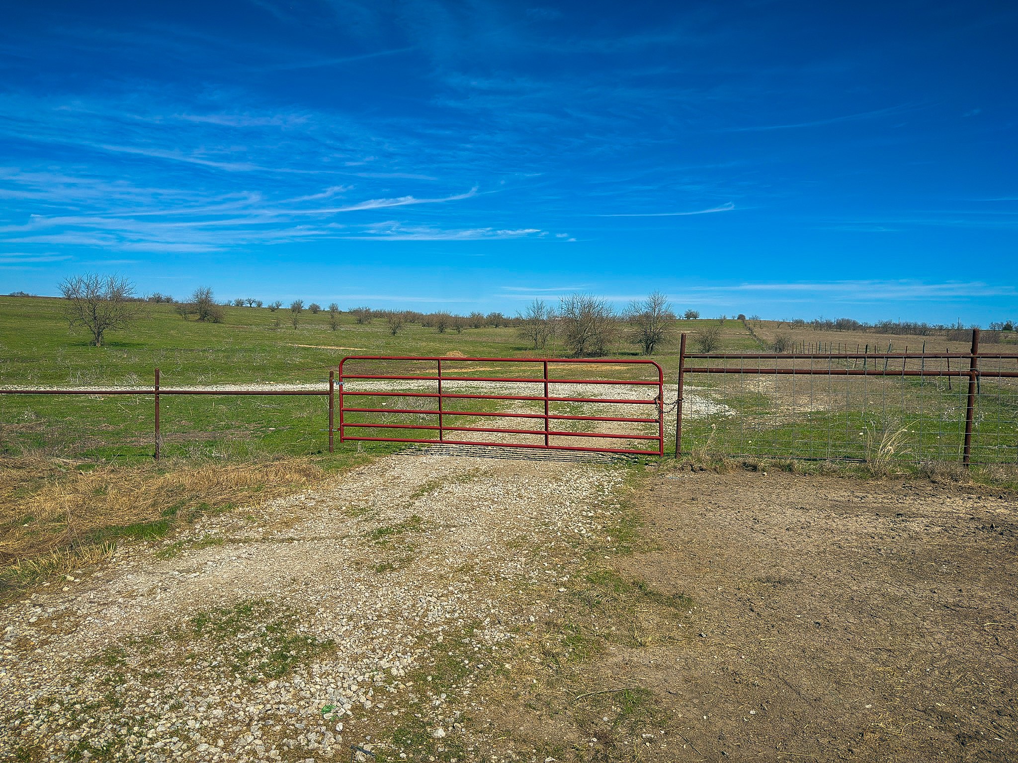 212.17 Acres Calhoun Drive Forestburg TX 76239