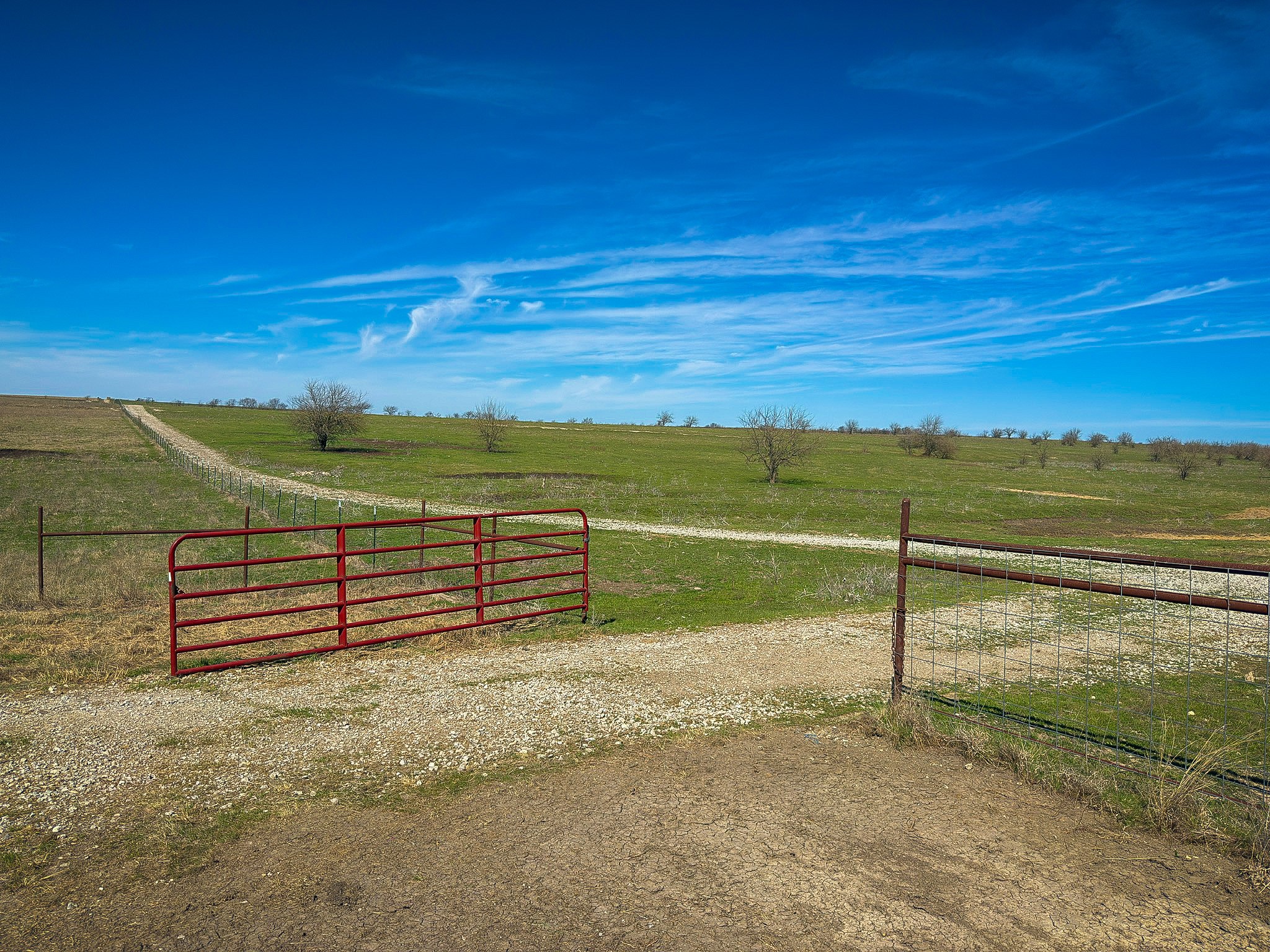 212.17 Acres Calhoun Drive Forestburg TX 76239