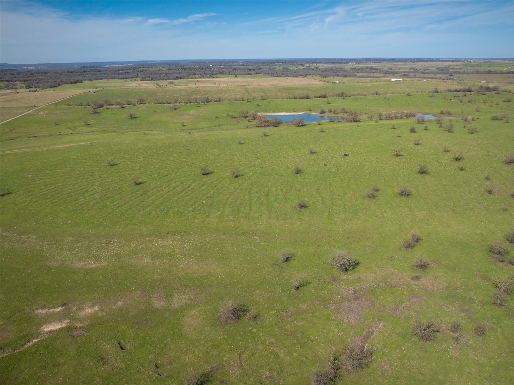 212.17 Acres Calhoun Drive Forestburg TX 76239