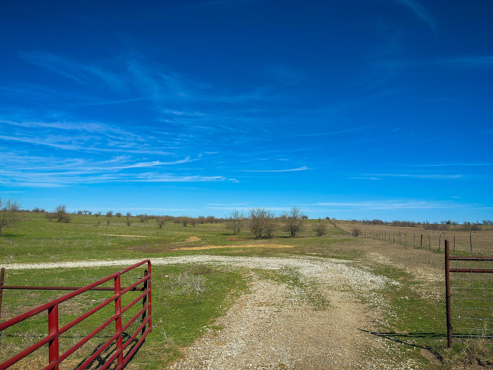 212.17 Acres Calhoun Drive Forestburg TX 76239