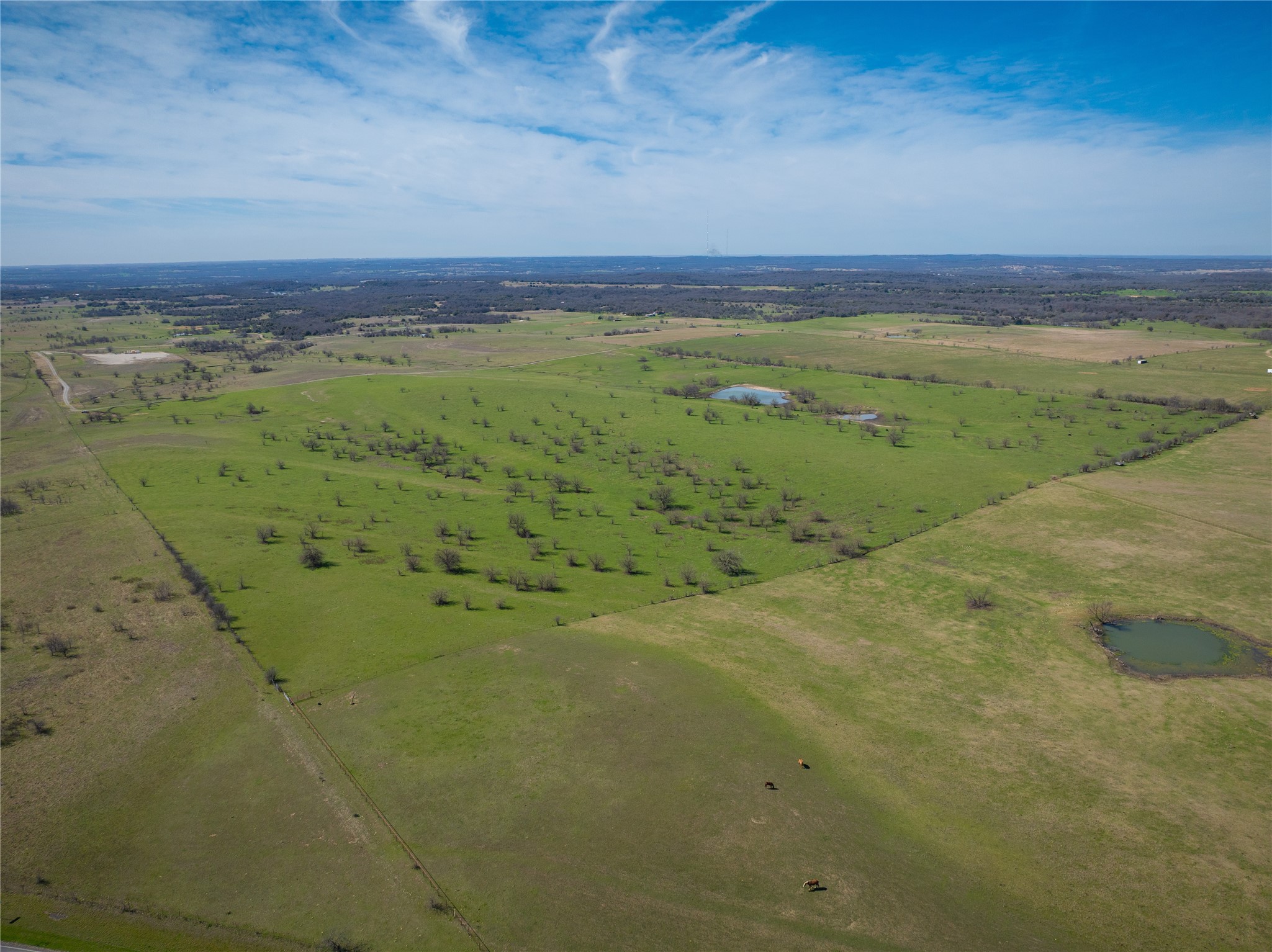 212.17 Acres Calhoun Drive Forestburg TX 76239