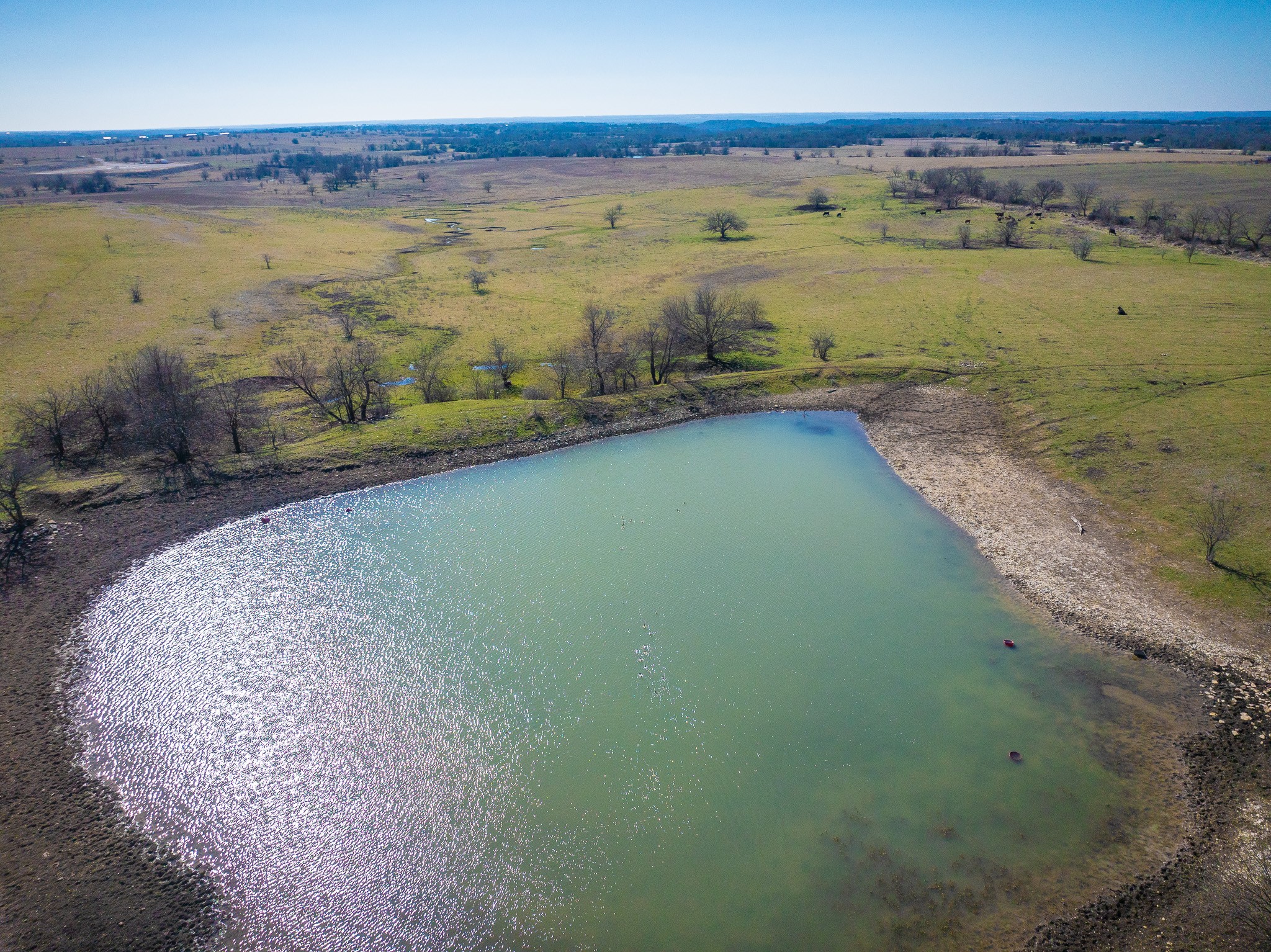 212.17 Acres Calhoun Drive Forestburg TX 76239