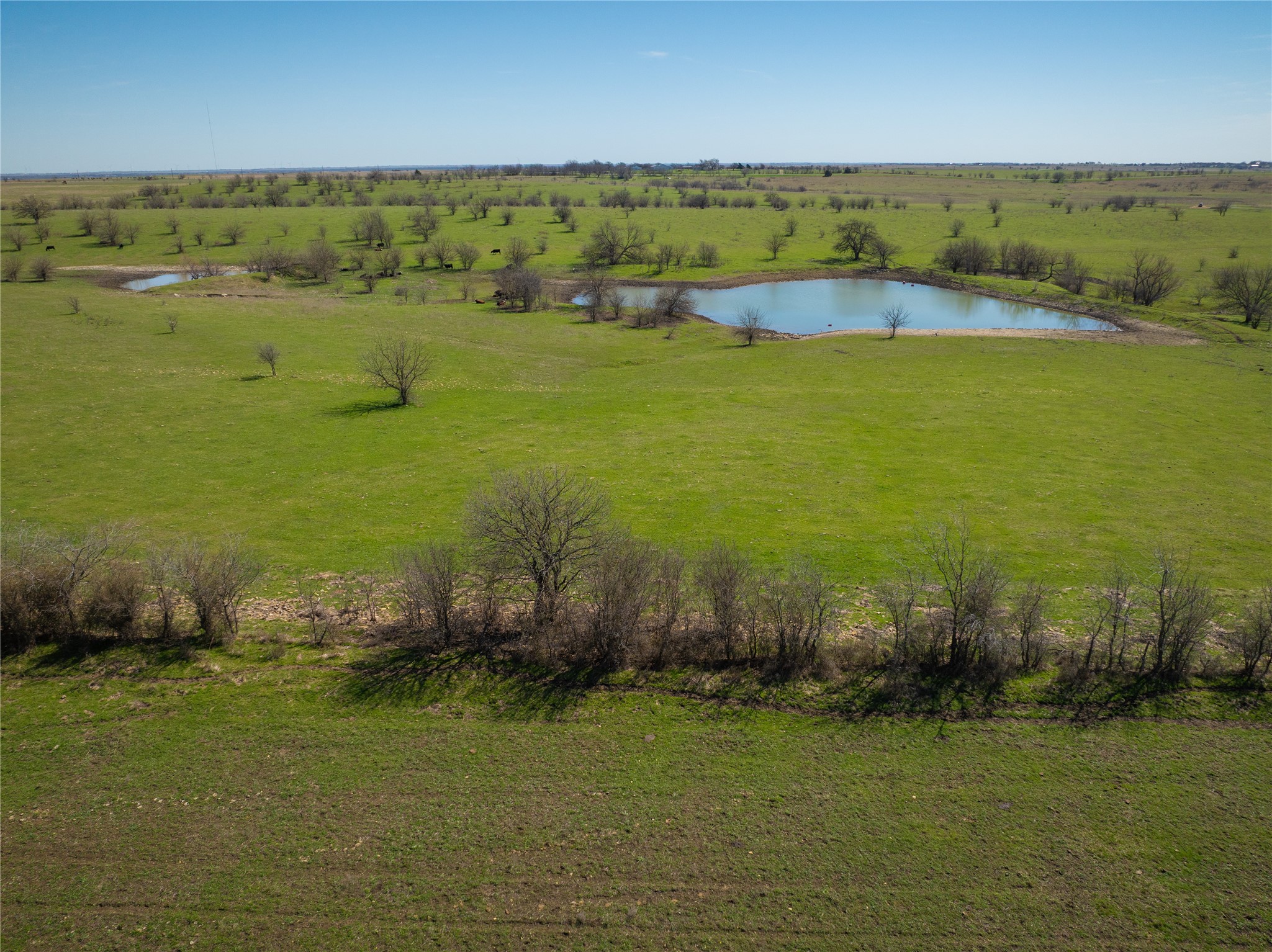 212.17 Acres Calhoun Drive Forestburg TX 76239