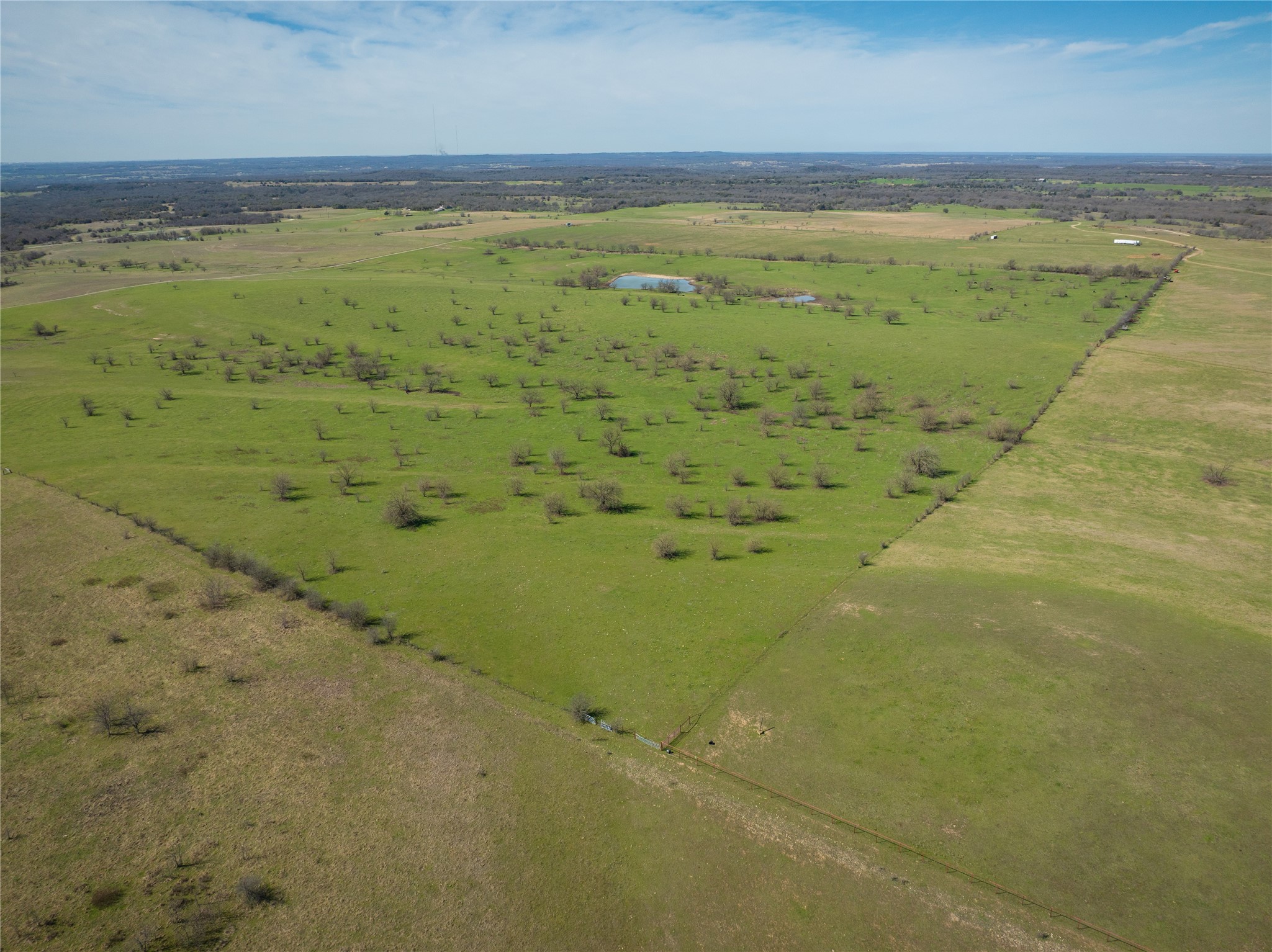 212.17 Acres Calhoun Drive Forestburg TX 76239