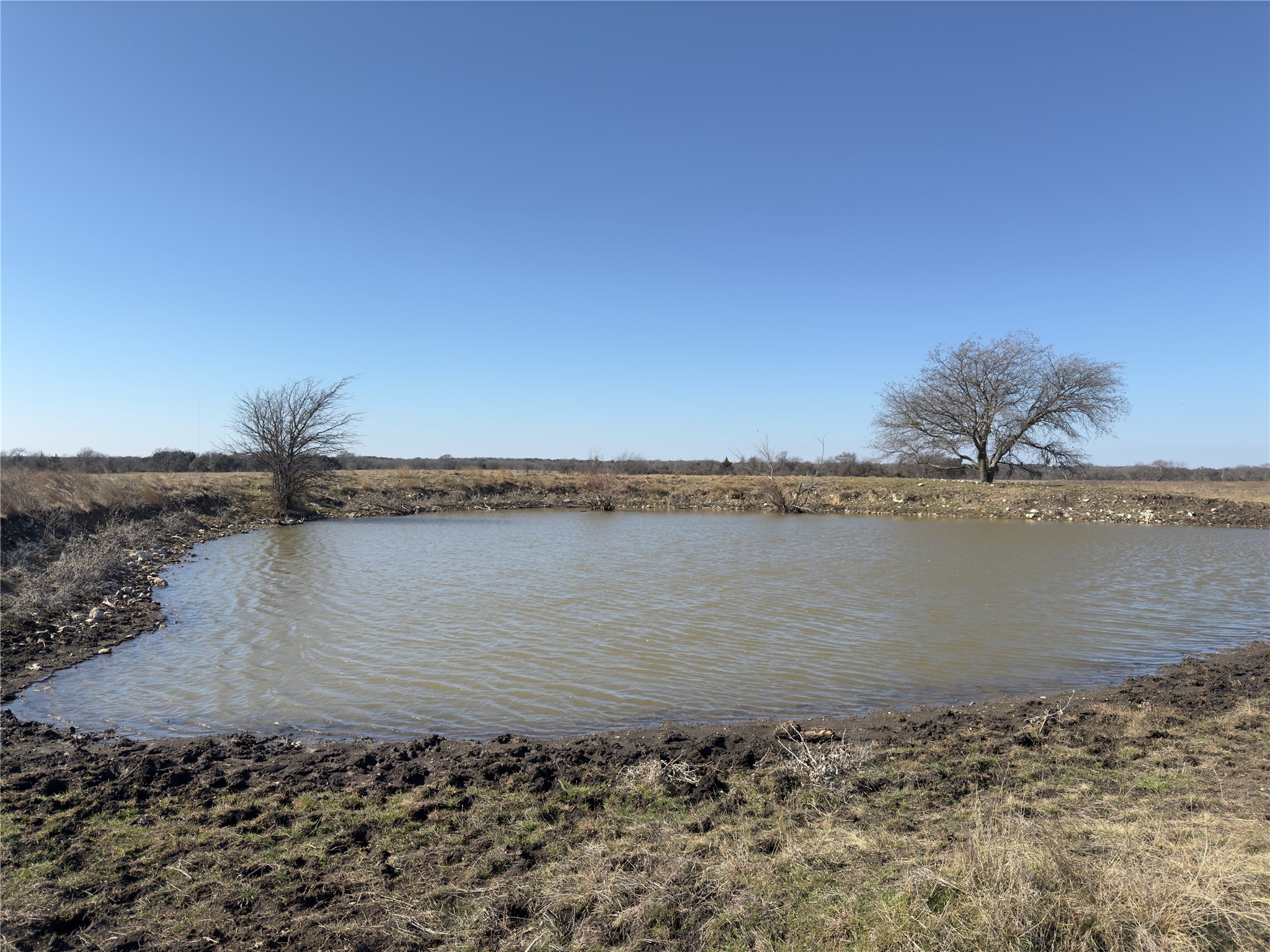 212.17 Acres Calhoun Drive Forestburg TX 76239