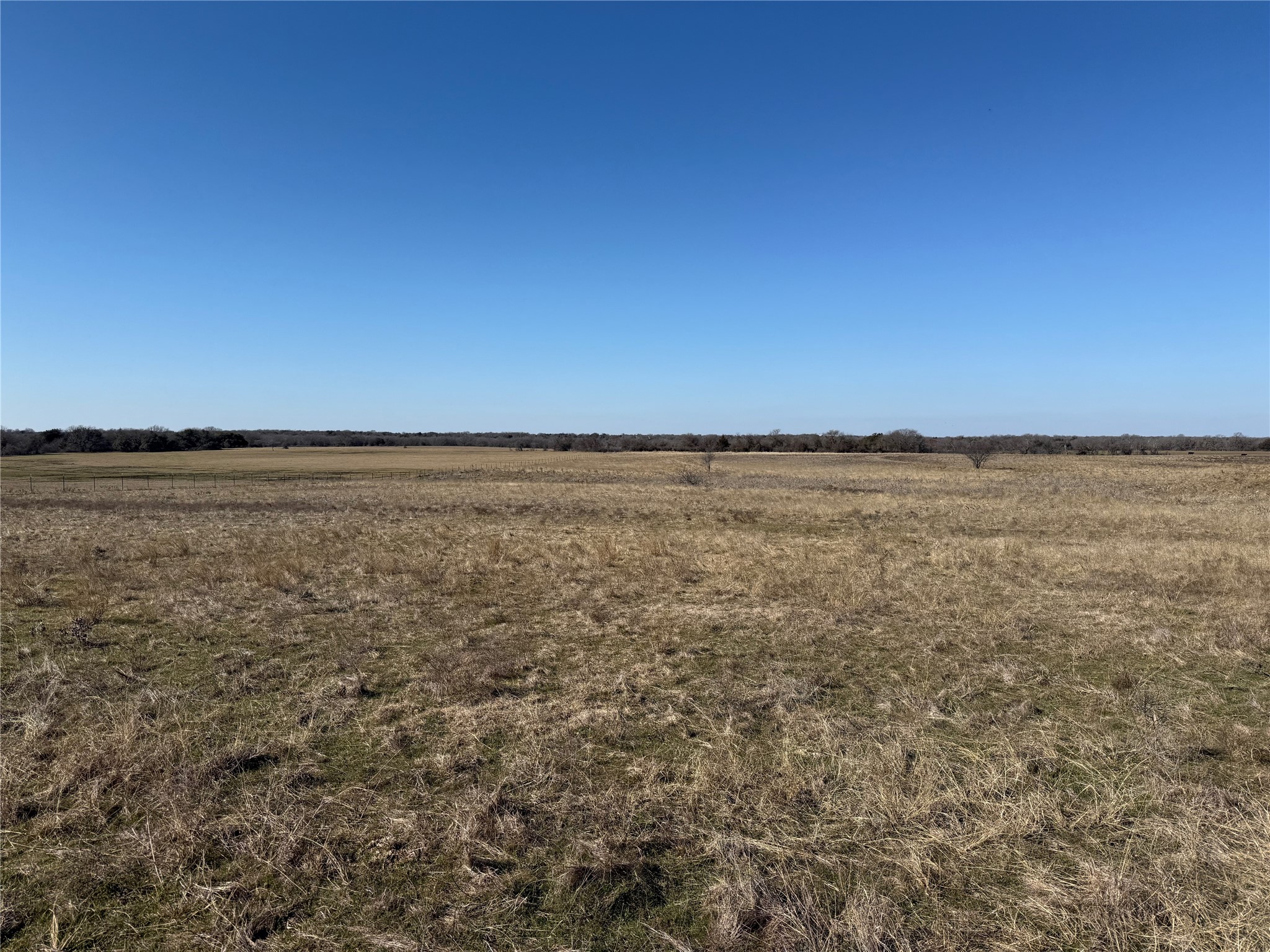 212.17 Acres Calhoun Drive Forestburg TX 76239