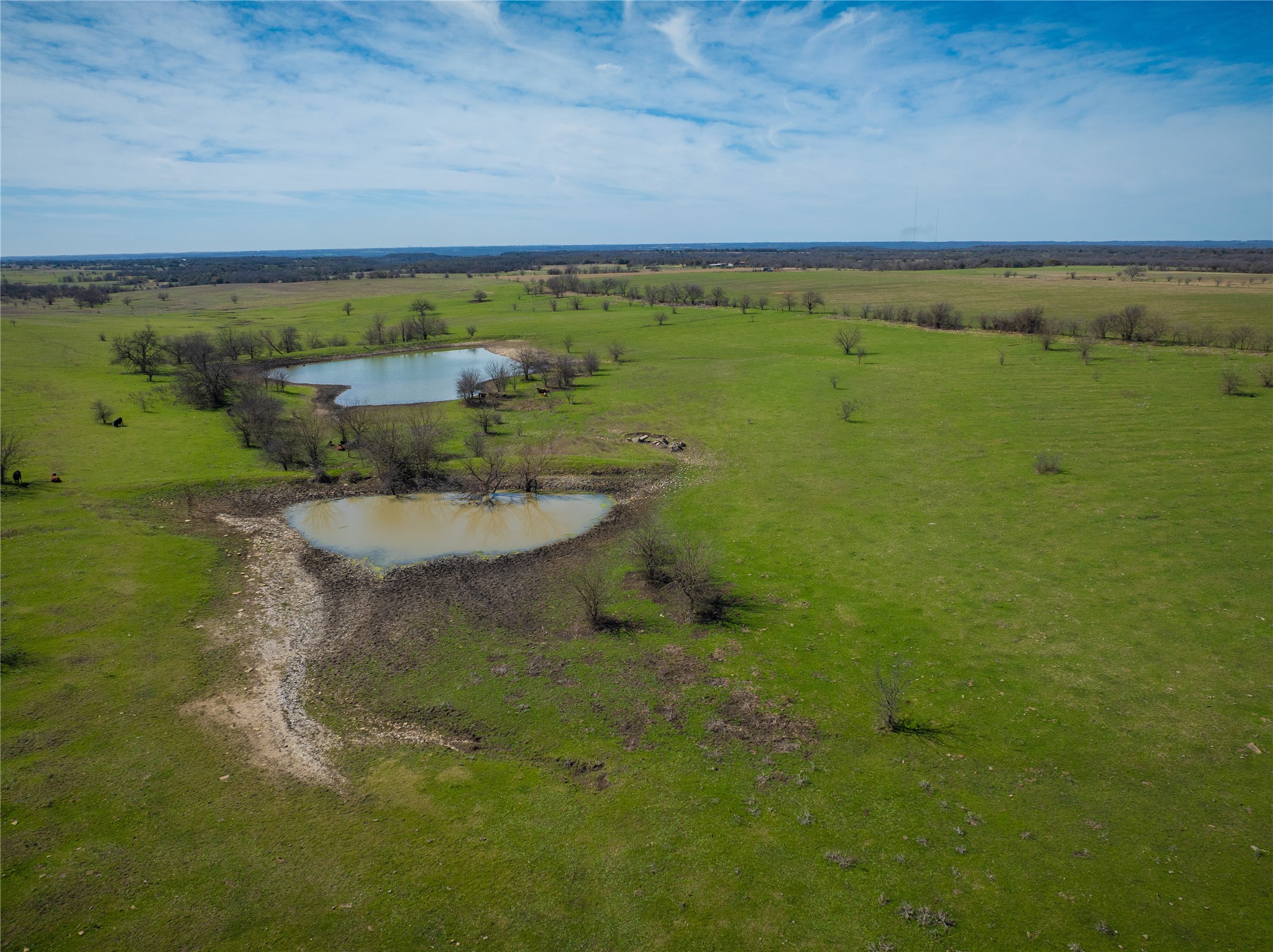 212.17 Acres Calhoun Drive Forestburg TX 76239