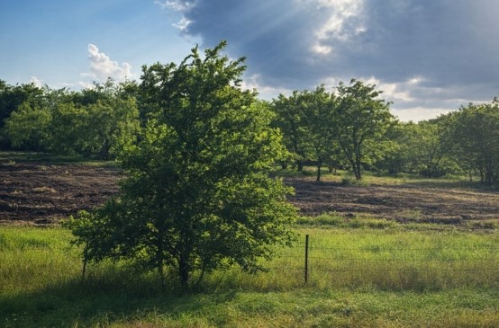 5627 Fm 987 Kaufman TX 75142
