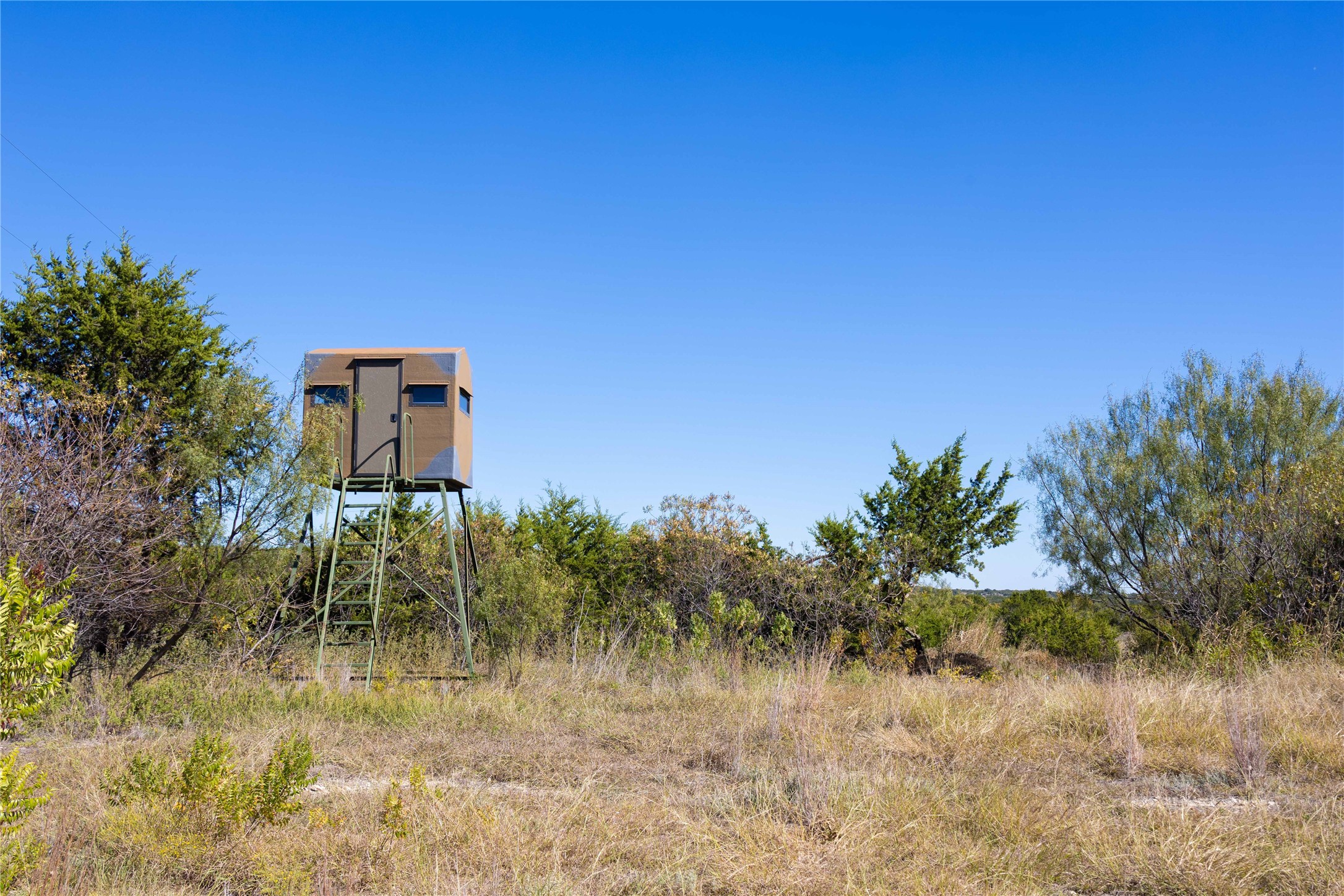 52 Acres Cr-407 Road Cross Plains TX 75232